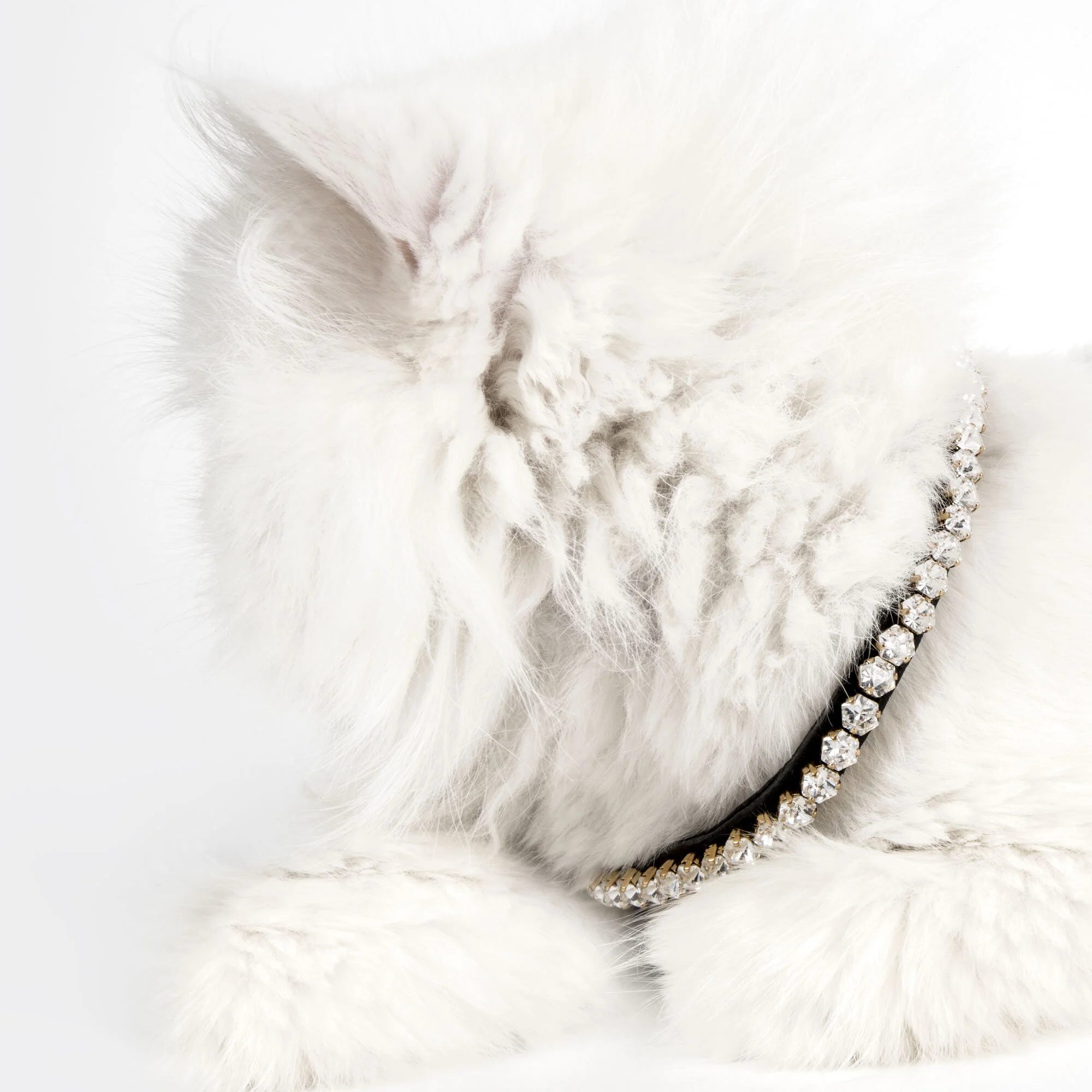 The SuperNova - mini