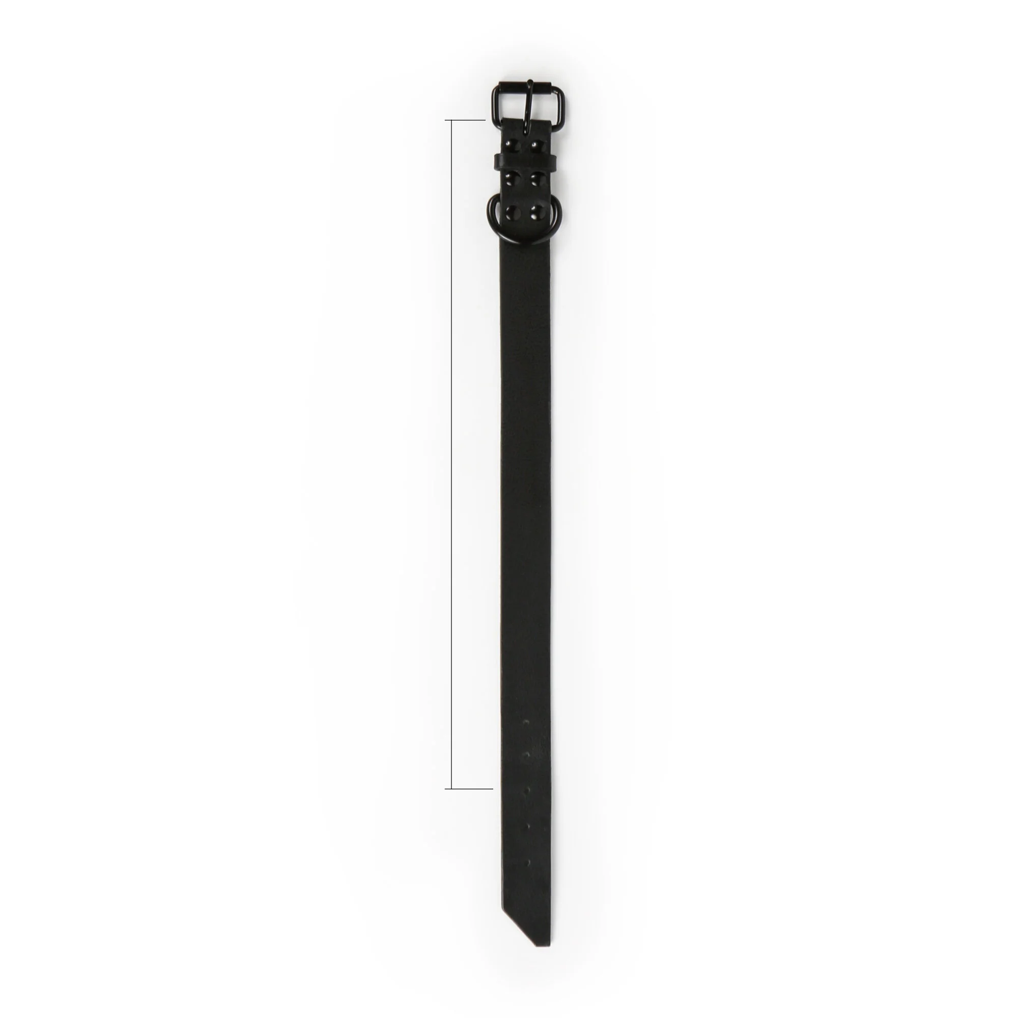 collarmeasurement.jpg