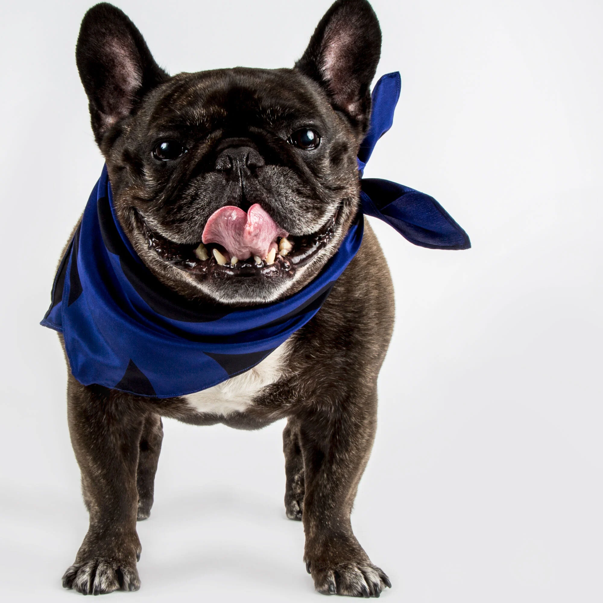 Keepin' it Cool in the Maxwell Bandana