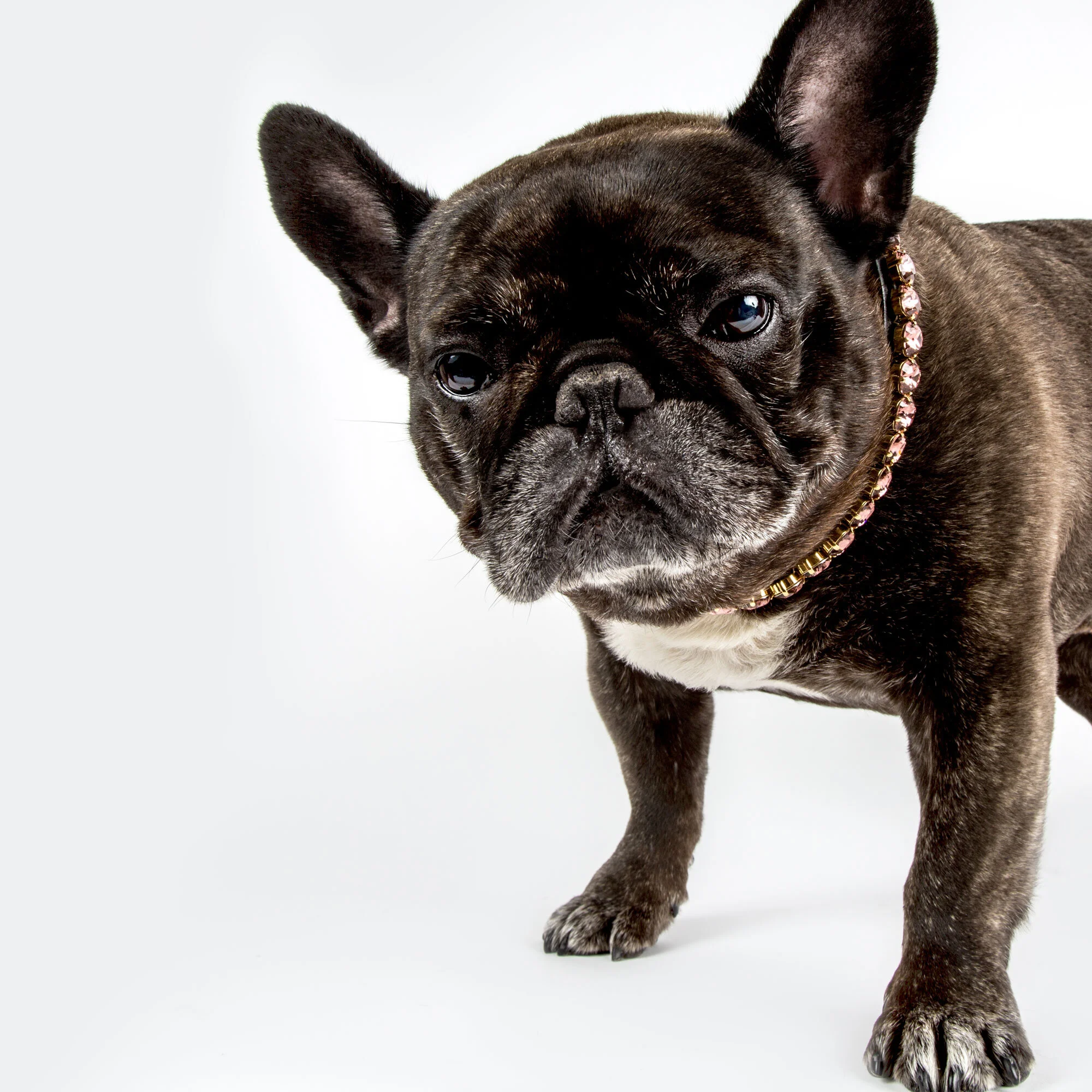 Our Strikingly Luxurious, Swarovski® Crystal Neckwear  //  The Luna