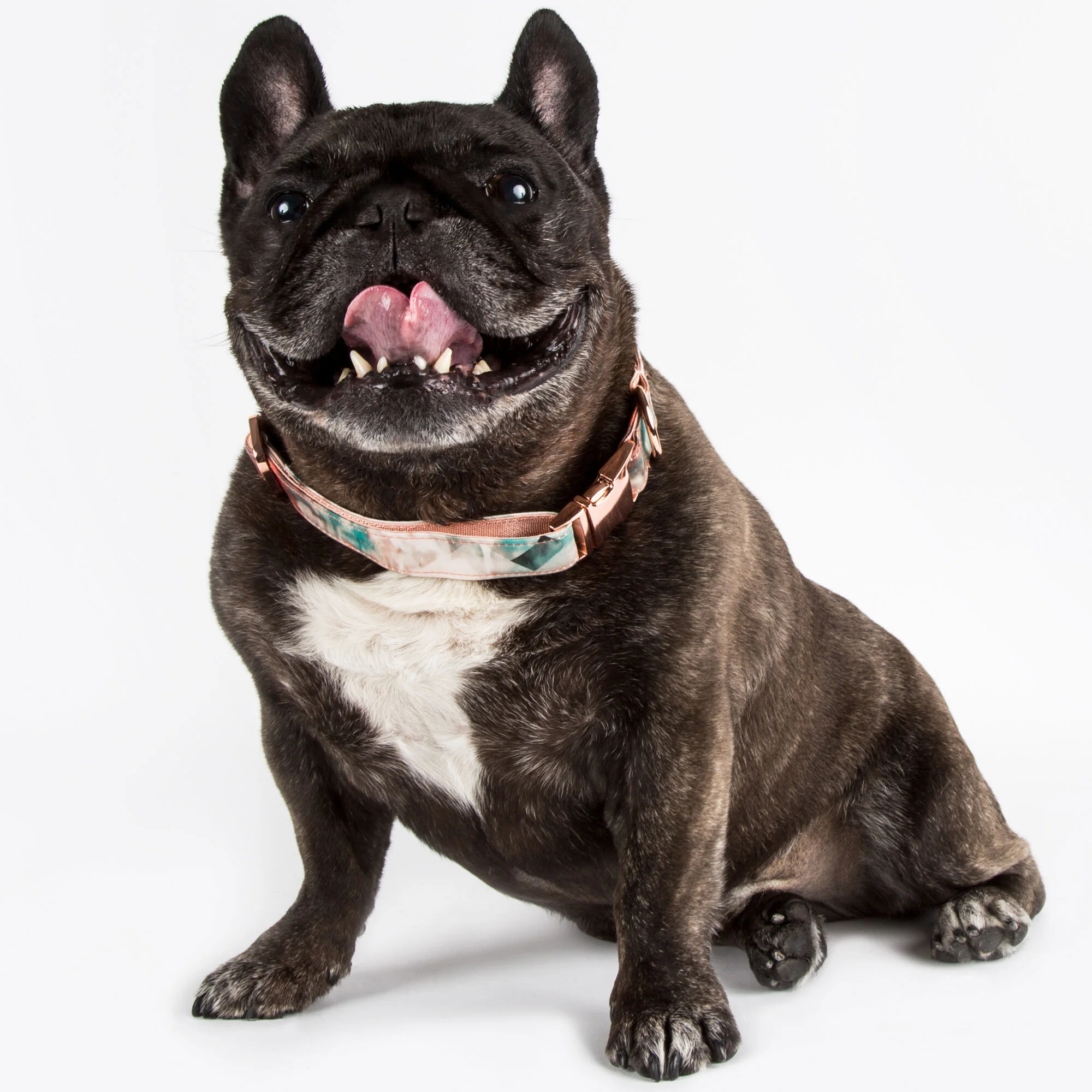 EST/WST WildOrchid Collar