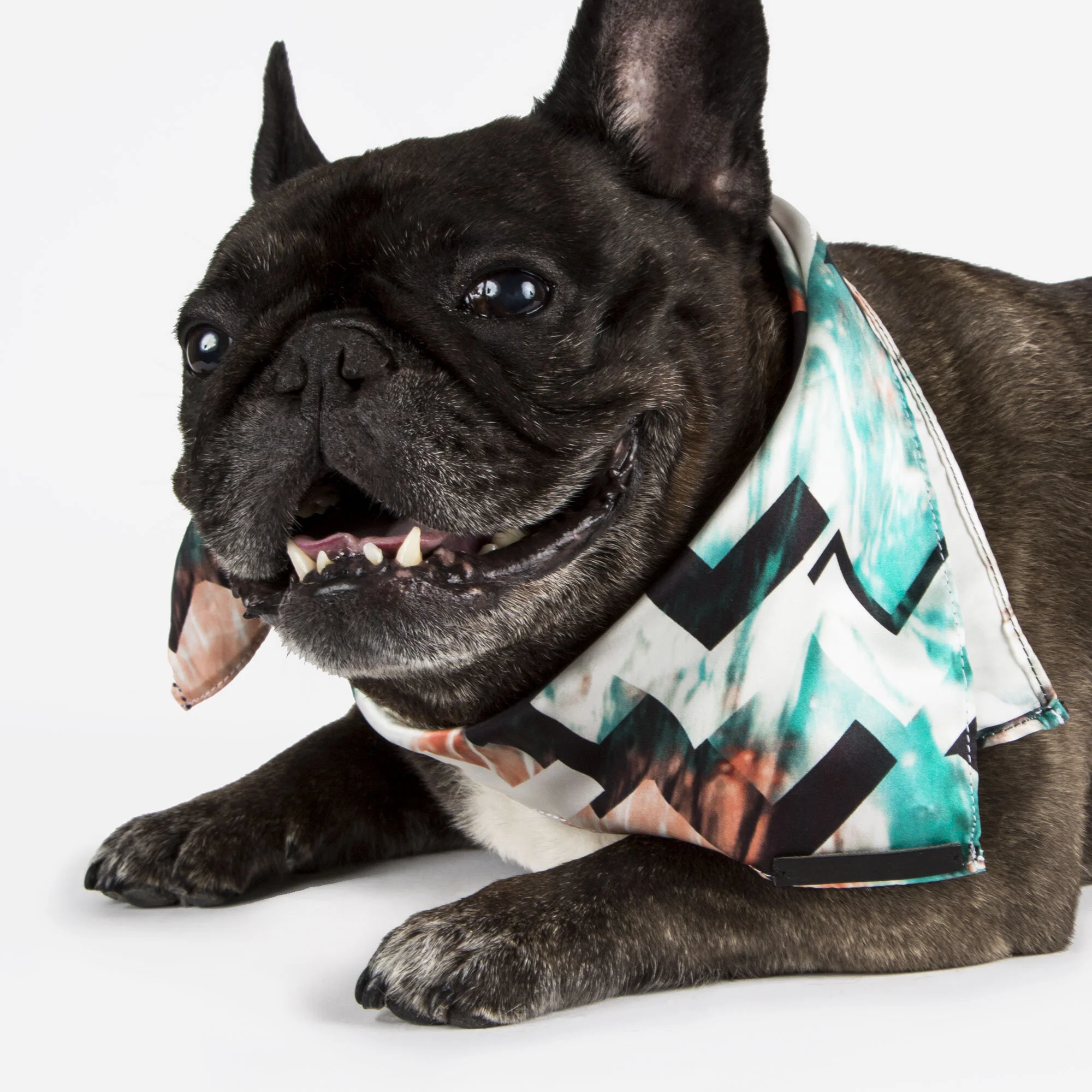 SuperNova Featuring the WildOrchid Bandana