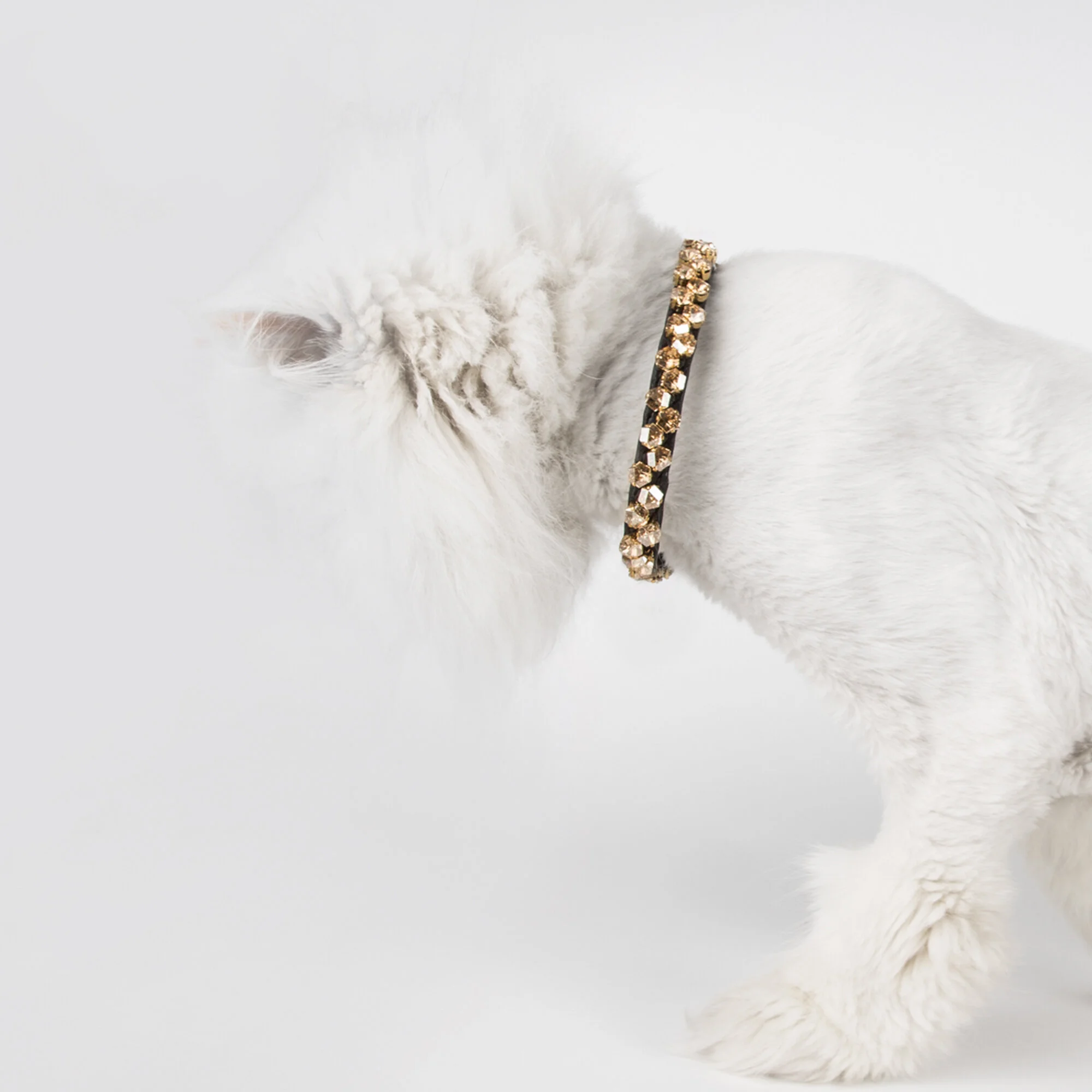 SaintUni sparklin’ in our KalidiHart - UltraViolet-mini in Citrine