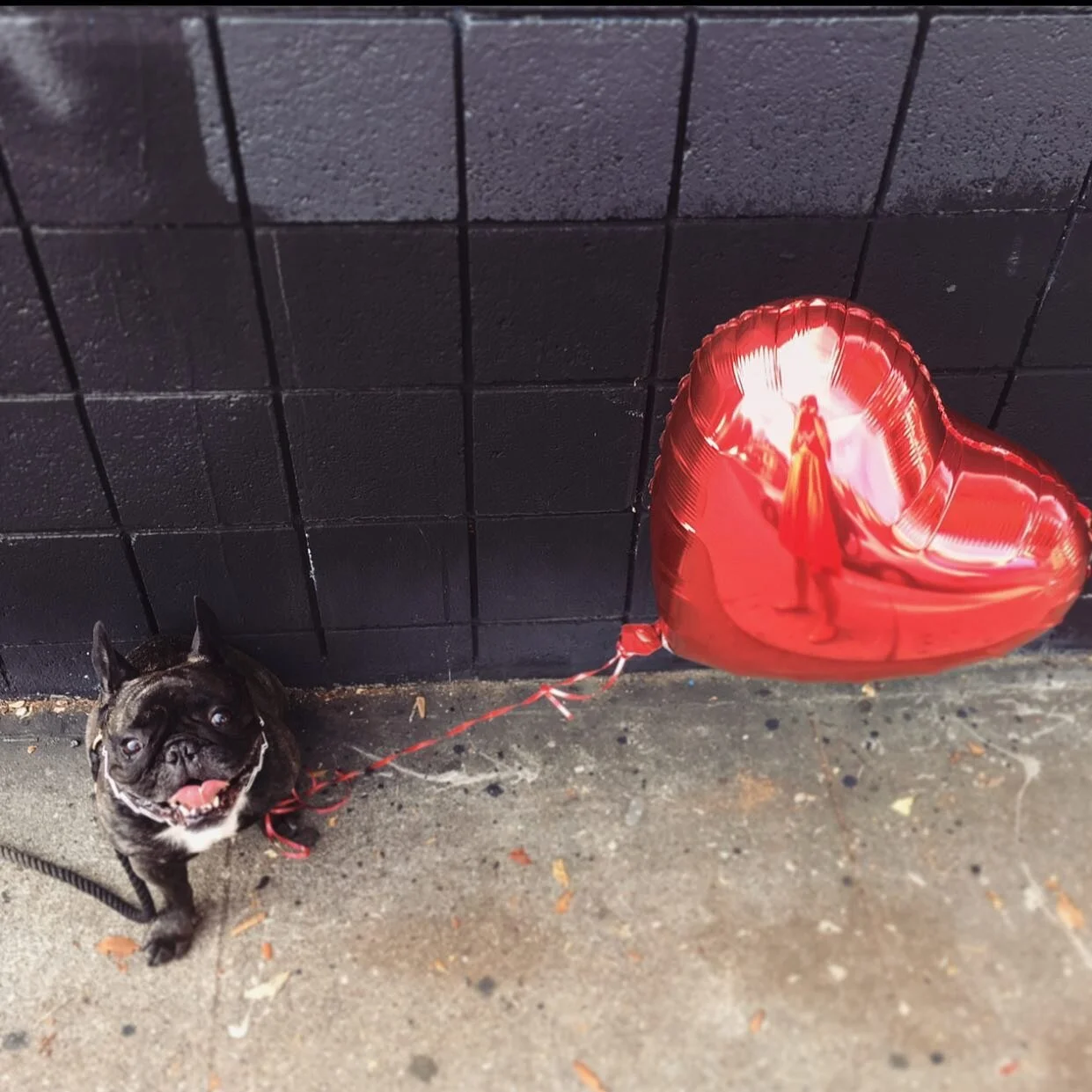 Love, kisses, and valentine wishes! ❤️
From me and mine to you and yours... xoxo

#valentine 
#superpowersoflove
#saintsandsuperheroes