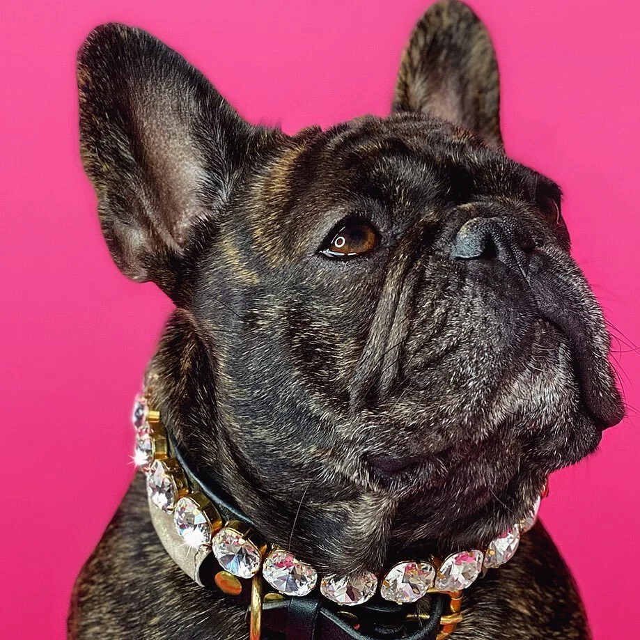 It&rsquo;s all about the neck candy ✨ 

Just a girl, sitting in front of a camera, GLOWING in her custom diamond wear!

Classy, yet a bit badass!! @rockerandrebel 

#superpowersoflove 
#saintsandsuperheroes