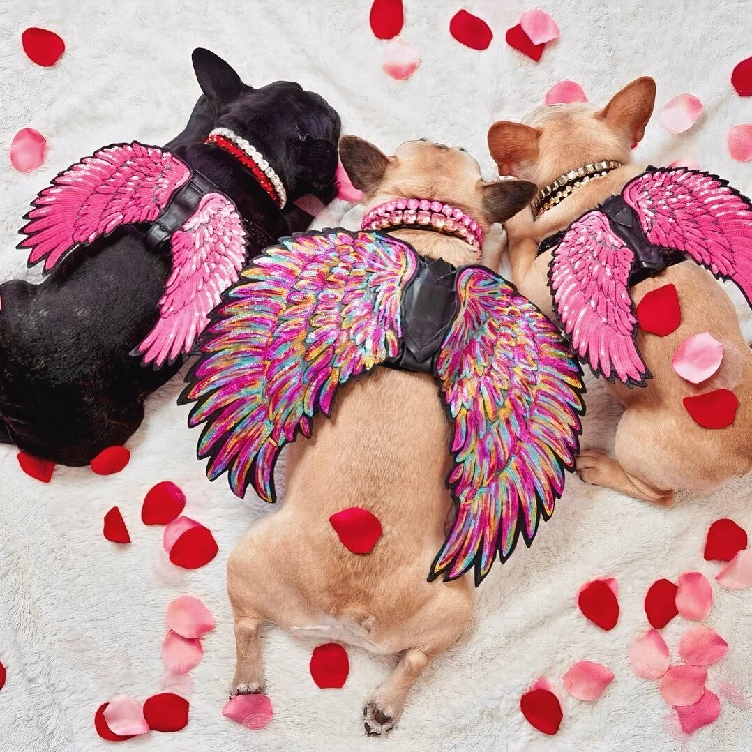 You know you love us... xoxo
Mini&rsquo;s Angels 

Stealin&rsquo; hearts and givin&rsquo; kisses calls for much-needed beauty sleep for these angels of love. @the.princess.mini 

Here&rsquo;s hoping all you besties got all the LOVE your sweet lil&rsq