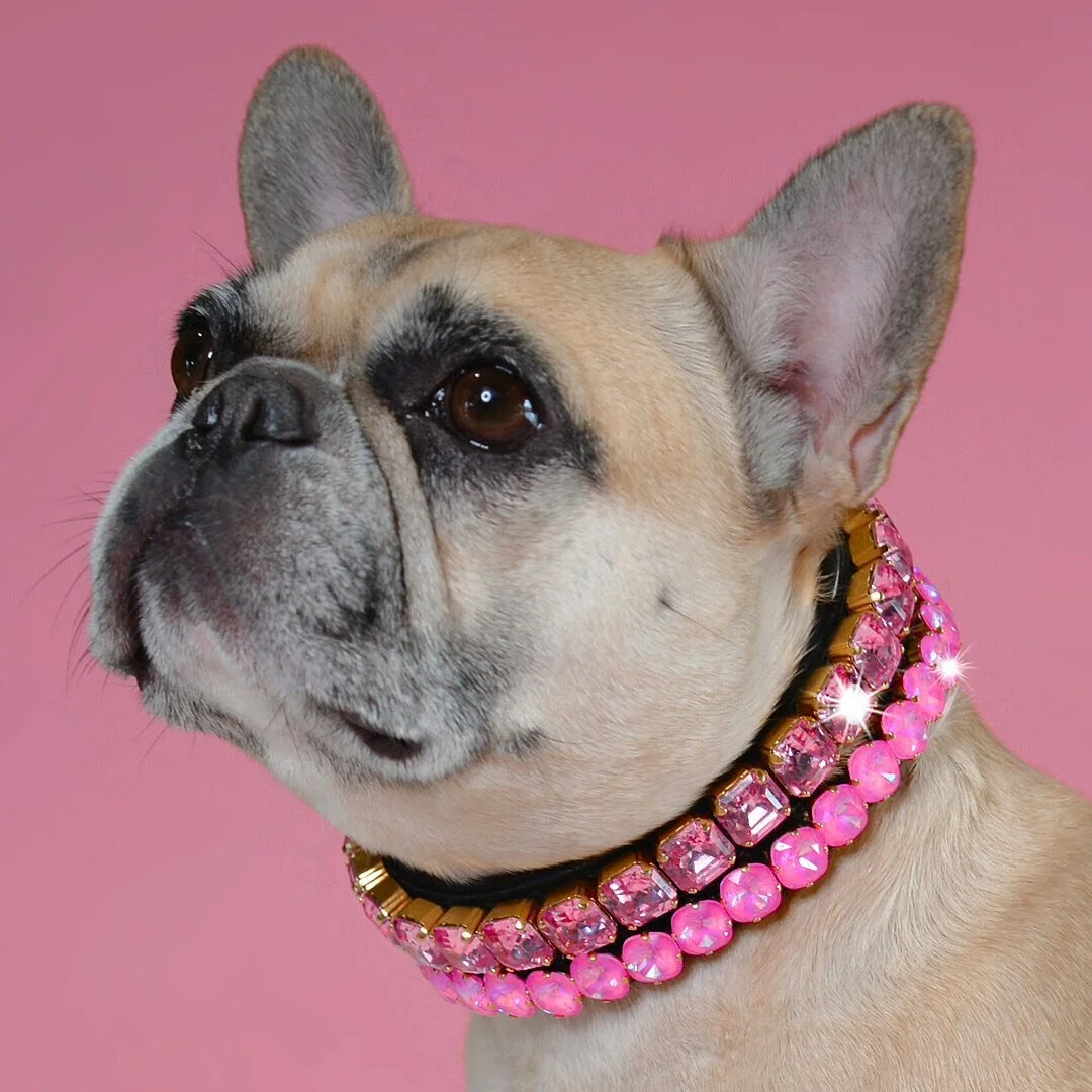 S P A R K L E  Every. Single. Day. ✨

Princess Mini bringin&rsquo; the sparkle in her custom, signature, hot pink diamond wear, the UltraNeon Mini. Inspired / created exclusively for her and her giant love of pink. @the.princess.mini 

Available now 