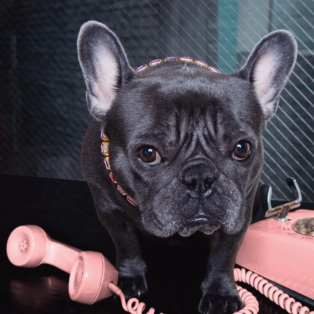 Hiiii... I just called to say I love you.

Oh, and something called Afterpay is live... or alive?? I'm not sure? Can you just send some treats??!!!

O K . .... Byyeeeee!!

We&rsquo;re now offering AFTERPAY as an option on our site! xo 

#superpowerso