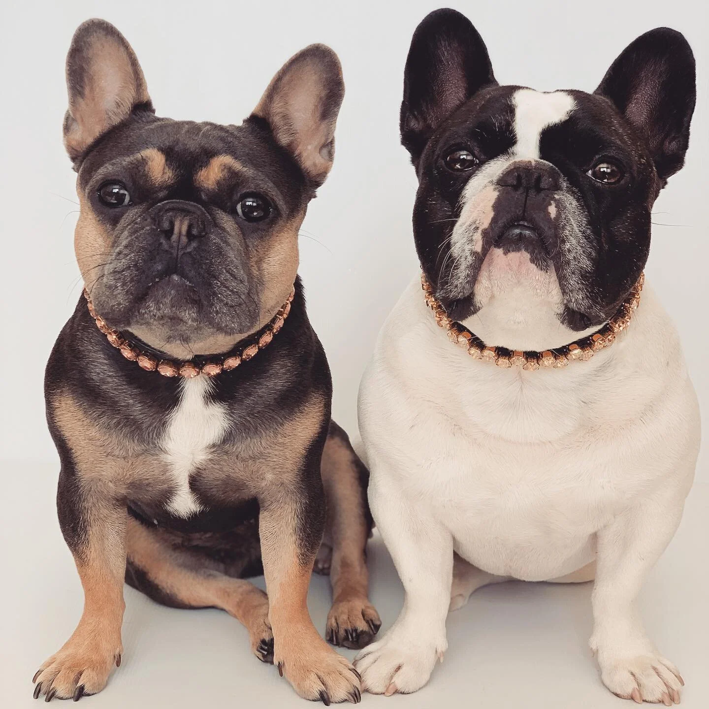 Making special days even more magical! 

Our friends, Frankie and Velvet Love, @frankieandvelvetlove are hosting a very special MOTHER&rsquo;S DAY GIVEAWAY!! ✨

Check out their page, @frankieandvelvetlove with this exact same photo, for all the detai