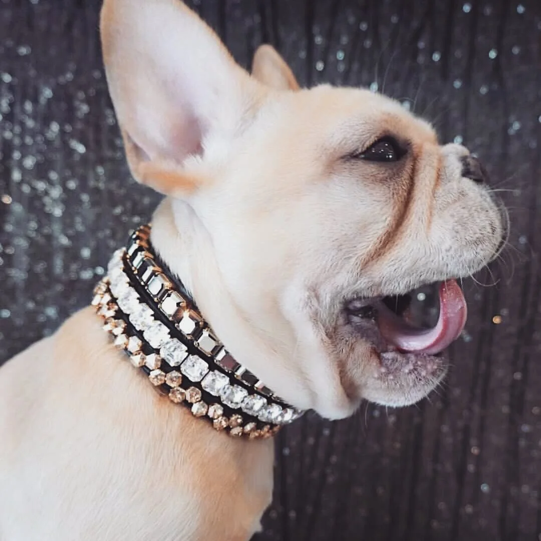 When in doubt, just add more glitter ✨

G$ stealin&rsquo; all the sisters sparkles to create her favorite stacked look! ⚡️💎 @the.princess.mini

#superpowersoflove 
#saintsandsuperheroes