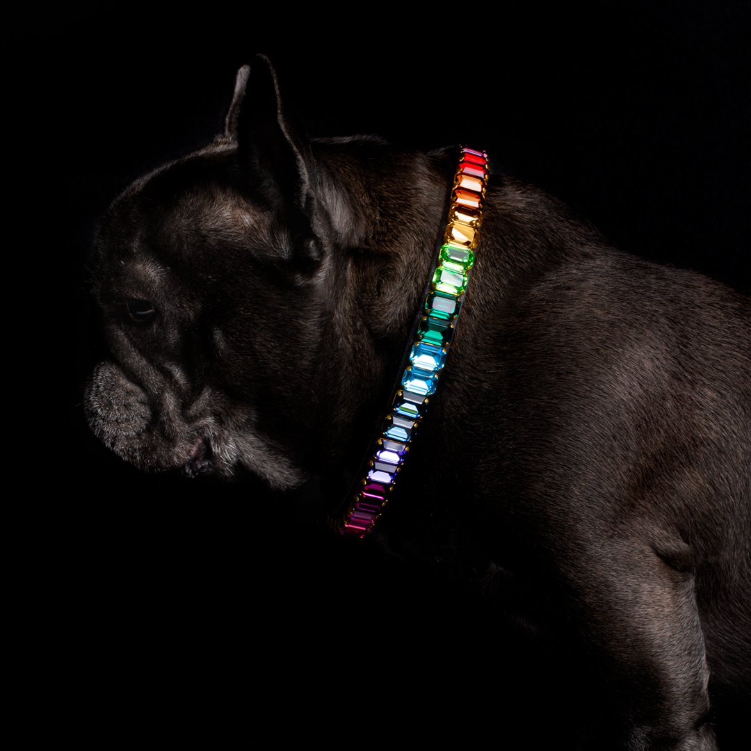 Chromatica