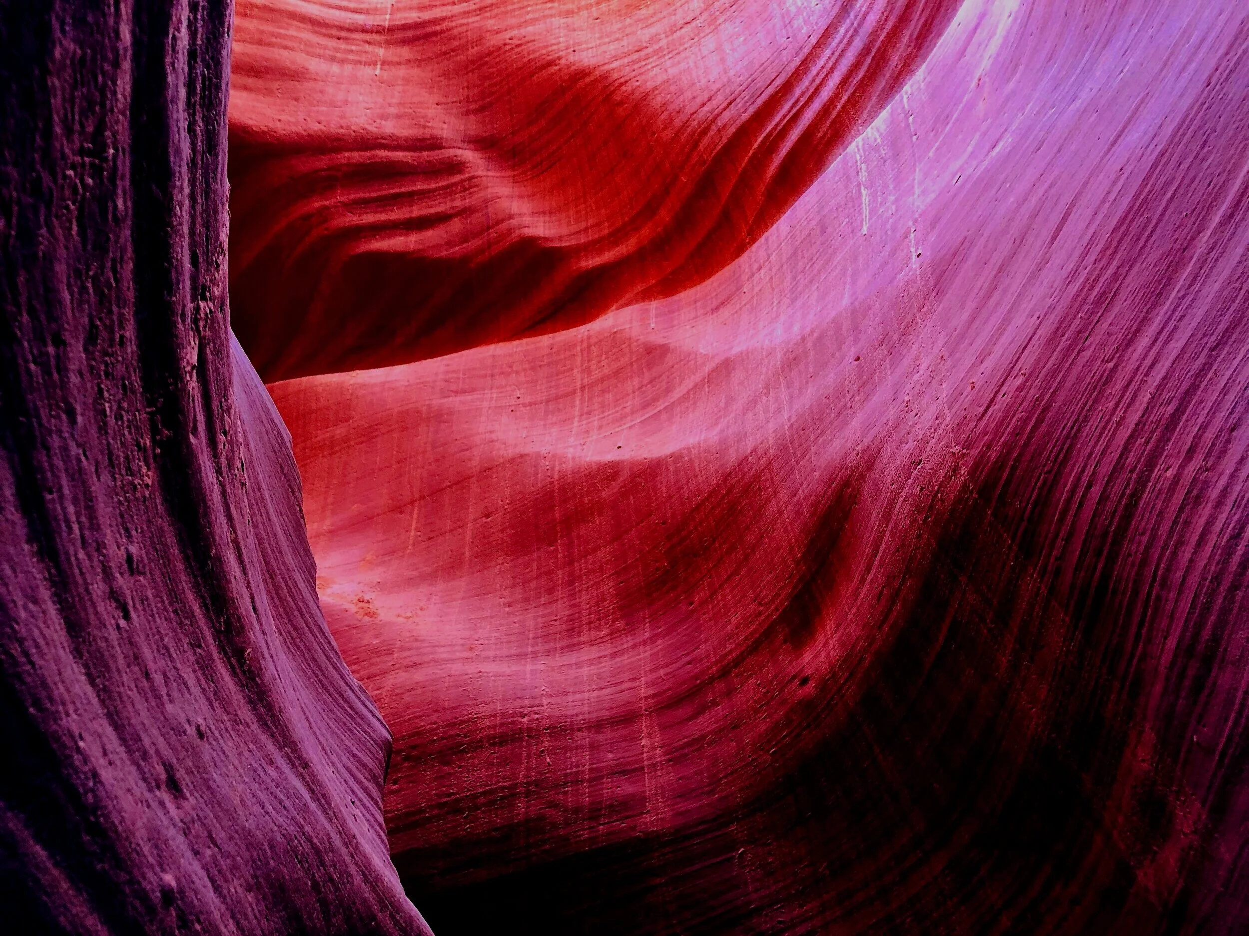 alex-collins-SbHerLVo8bc-unsplash.jpg
