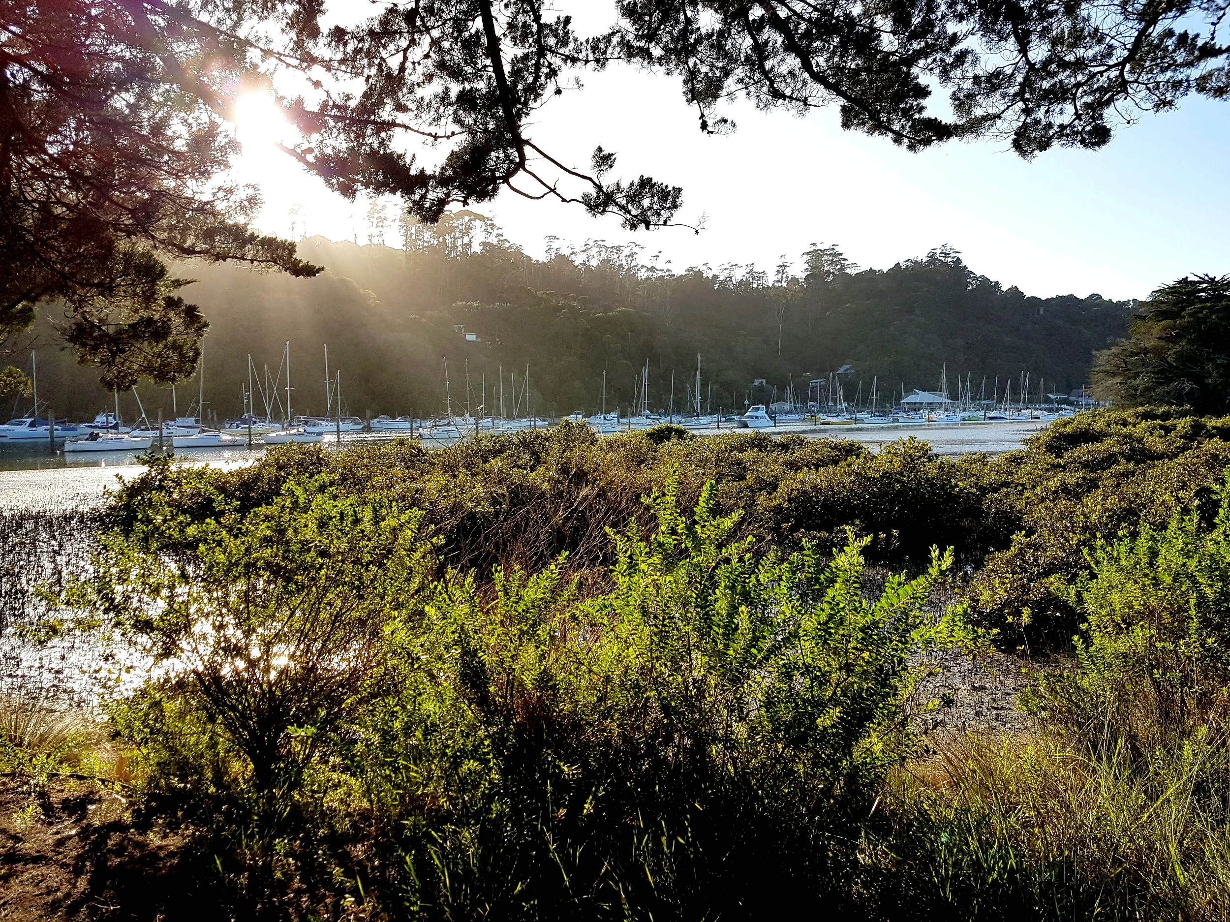 Morning sun coming illuminating first point - Peter Davy