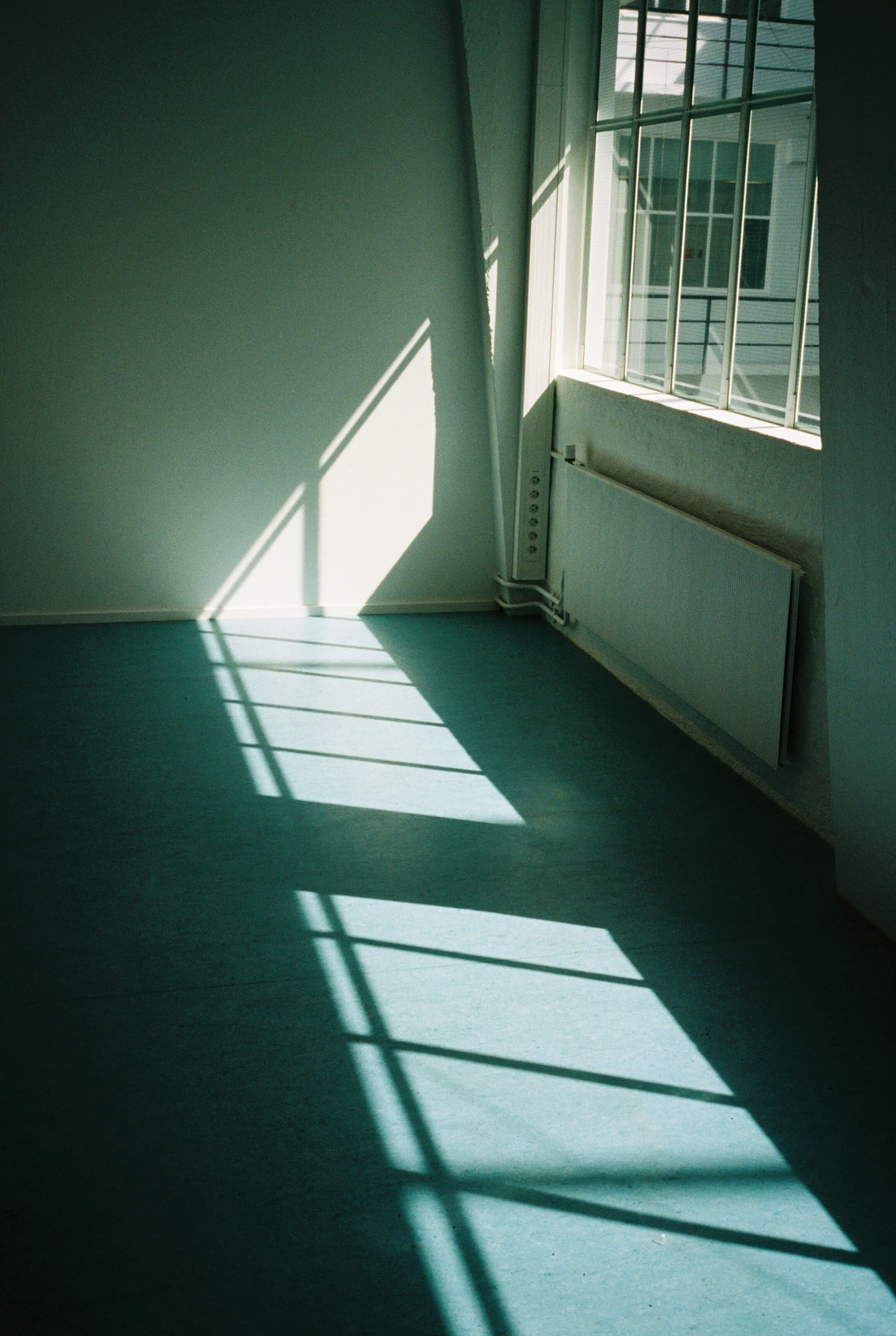snaps-13.jpg