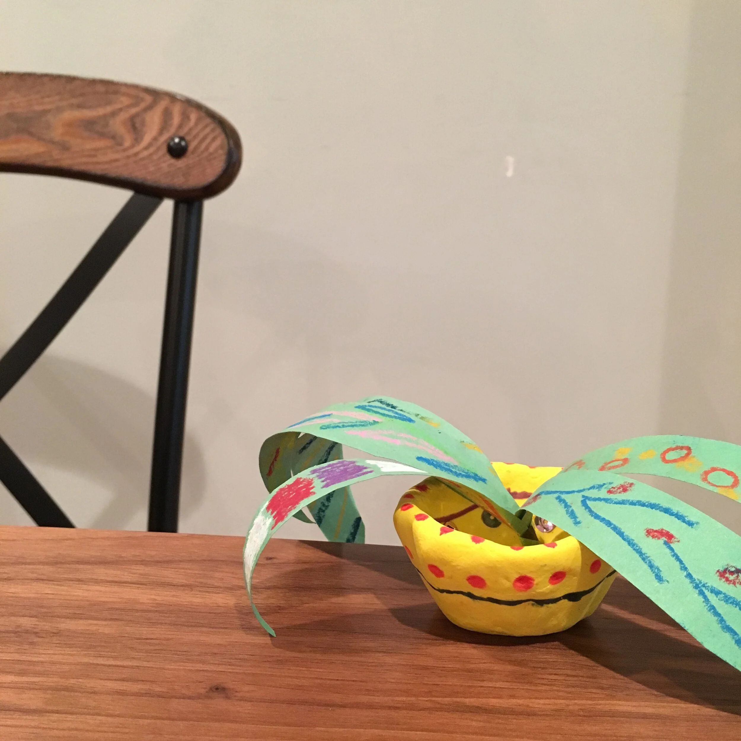 是真的！完全不用照顧的空氣鳳梨