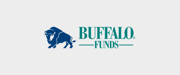 How an International Stock Fund Finds Its Winning Recipe