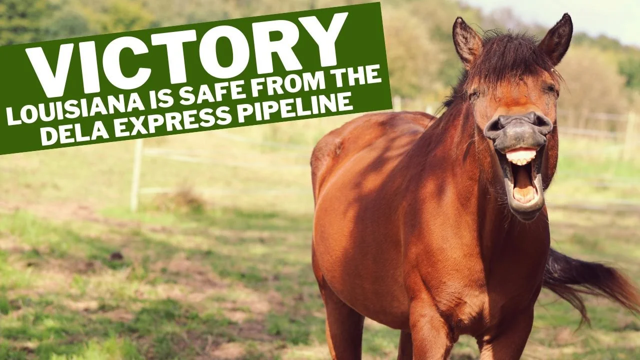 Landowners and Texas Easement Action Alliance Claim Victory as DeLa Express Petrochemicals Pipeline Cancelled