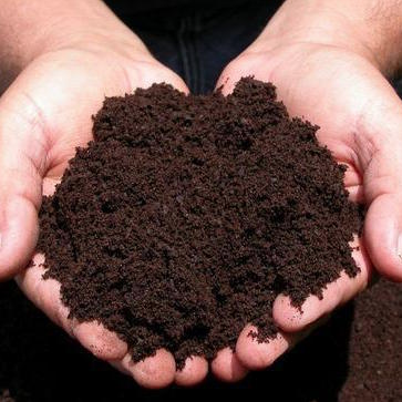 Hands & Dirt.png