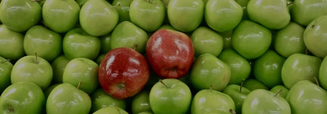 Apples banner.jpeg