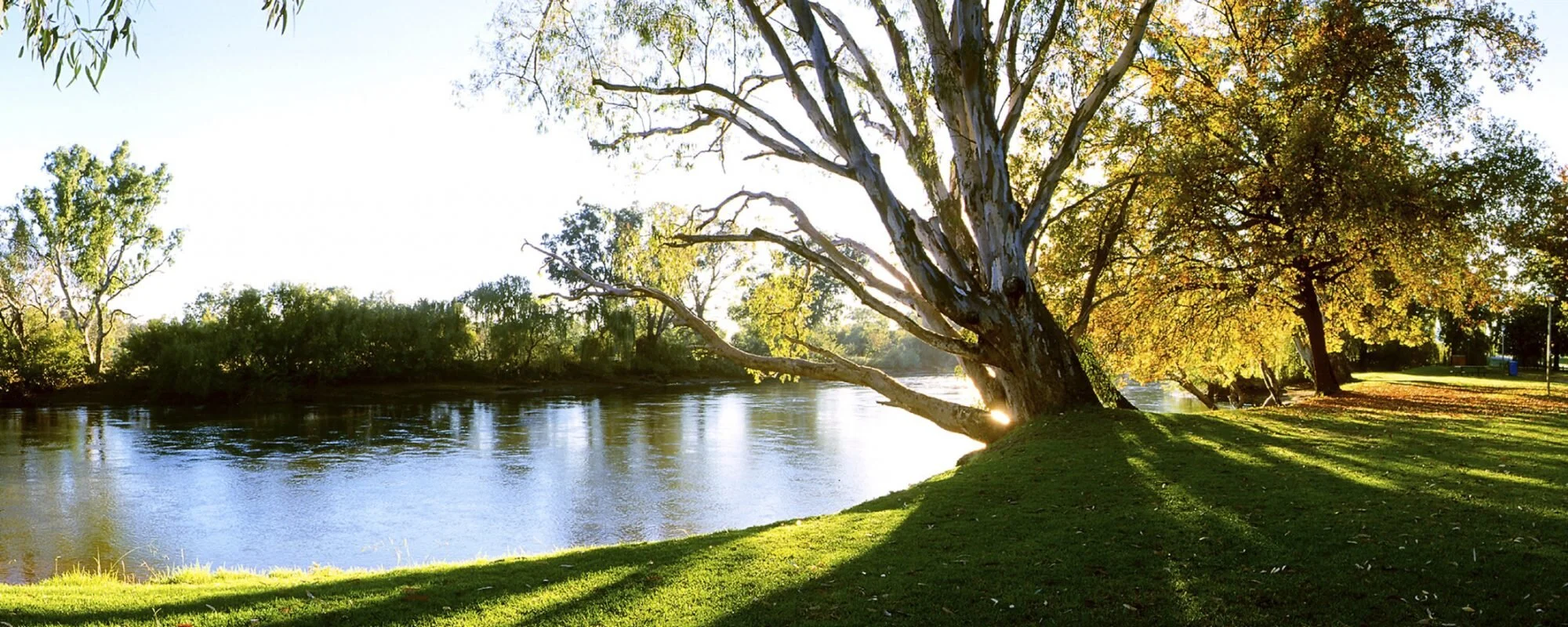 Murray-River-at-Noreuil-Park-pano-2000x800.jpg