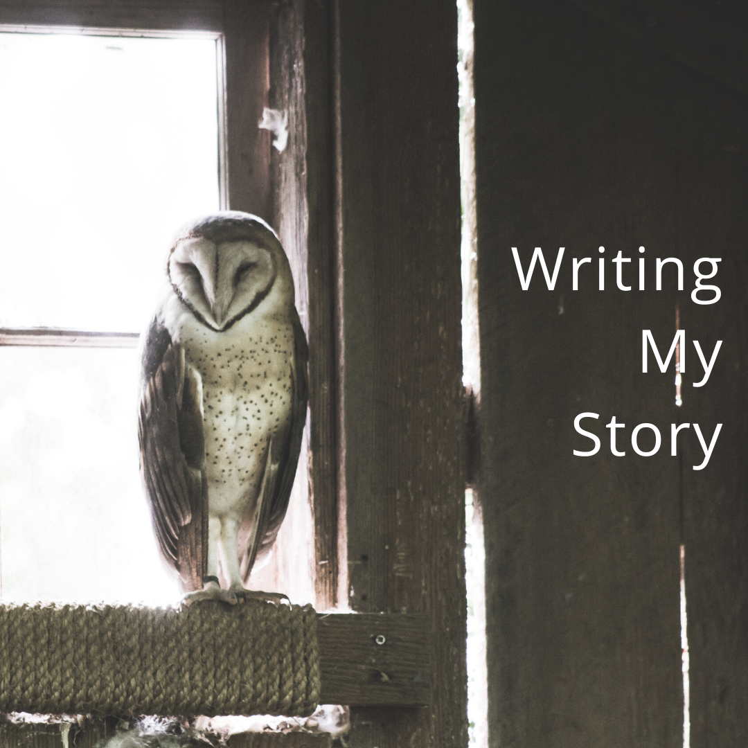 Writing My Story