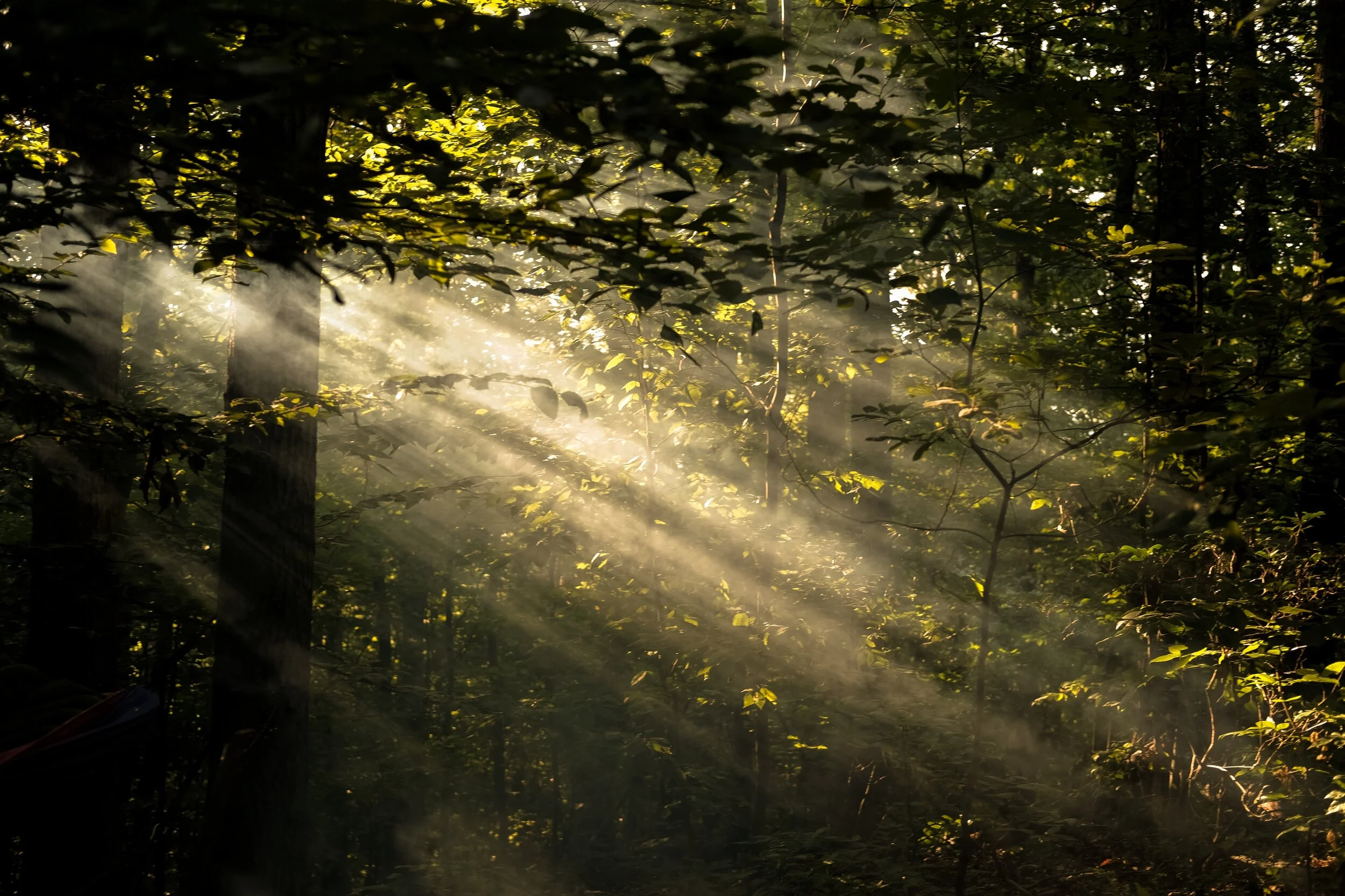 Navigating Ambiguous Loss