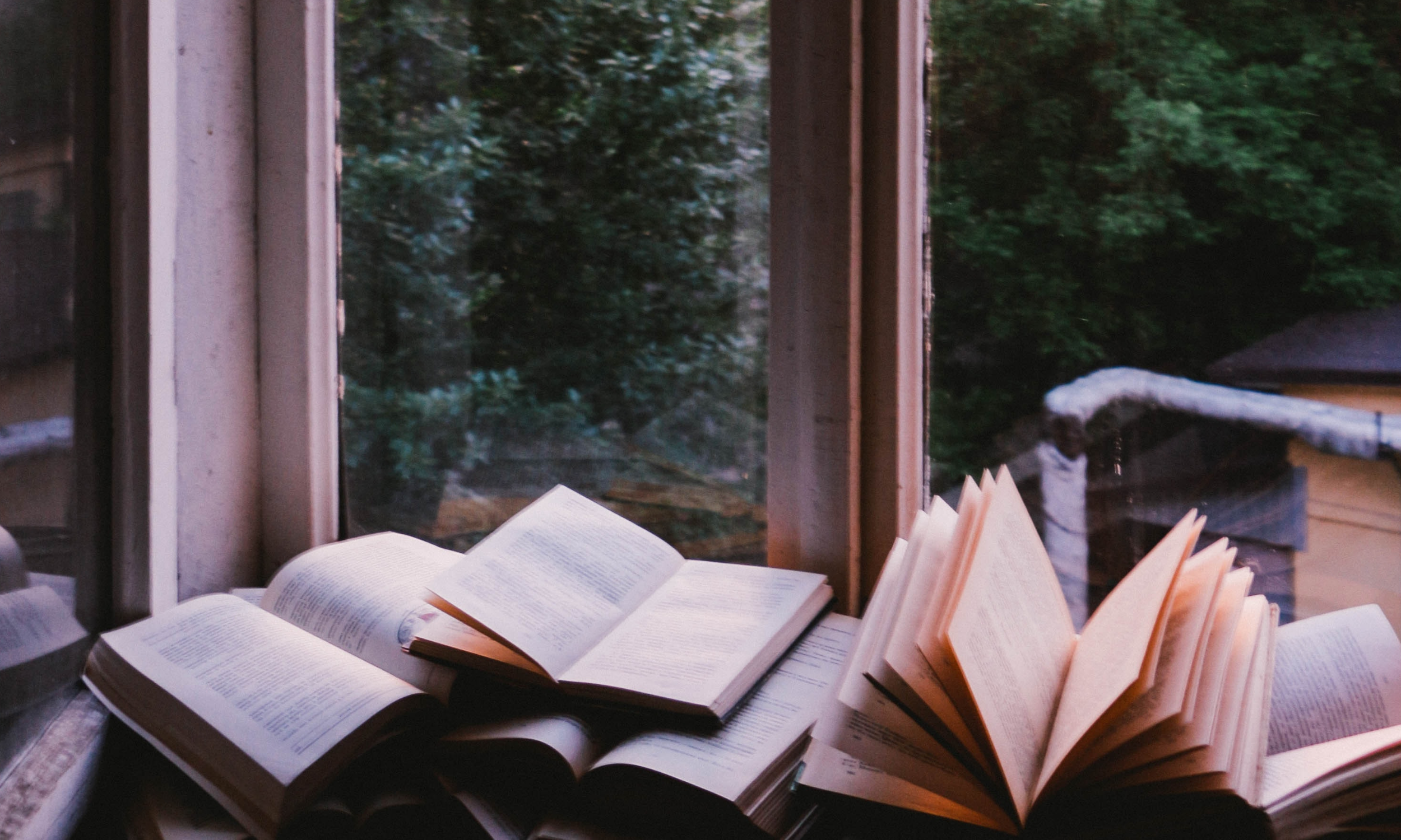 The Wilderness of Words