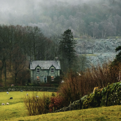 A Home for the Heart