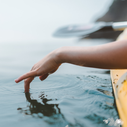 Rowing North Together