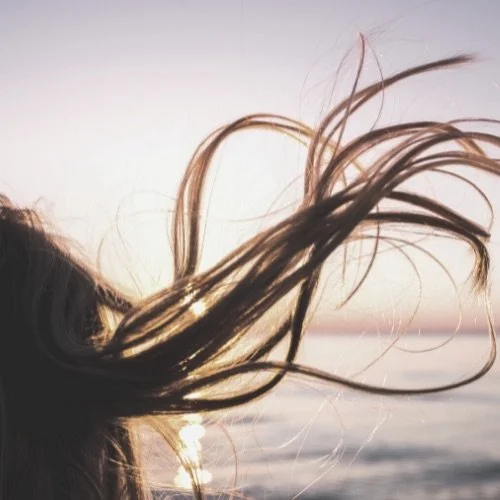 Blowing in the Wind