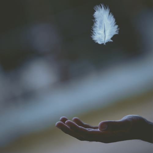Quiet As A Feather