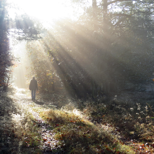 A Ritual for Self-Forgiveness
