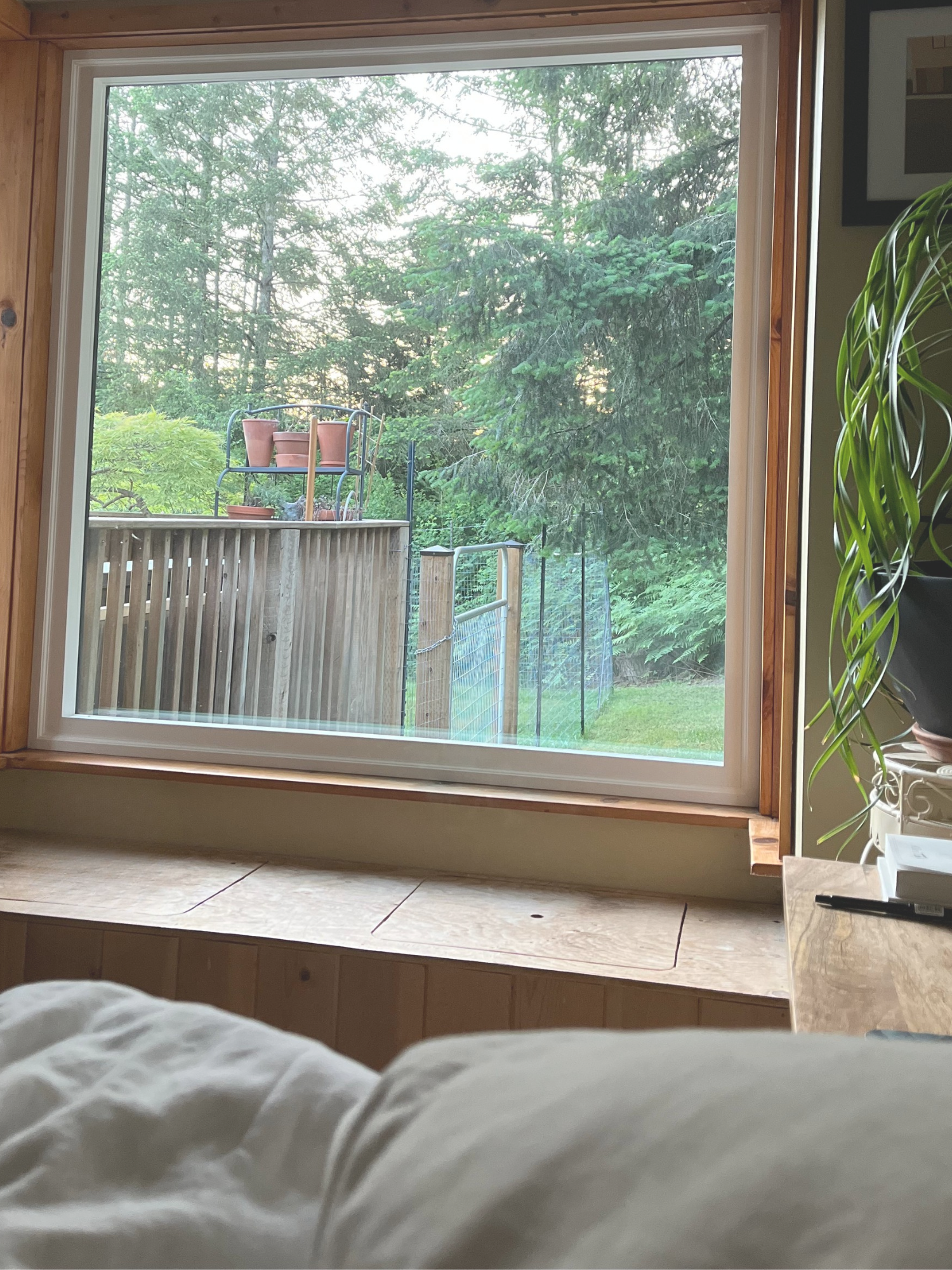 Early morning sunlight.png