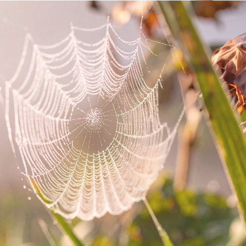 Why is vulnerability so difficult?