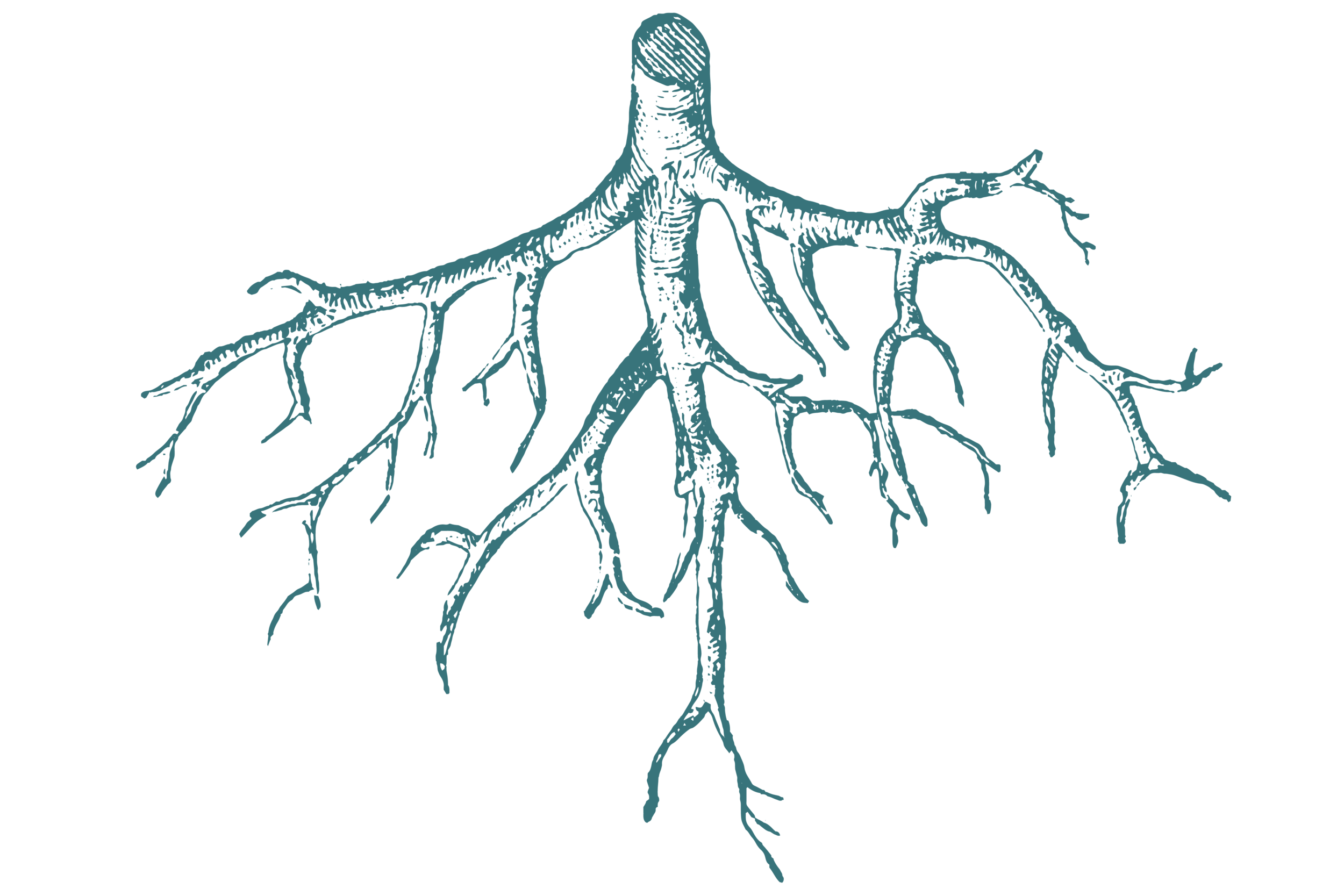 Copy of Copy of Copy of Copy of Copy of Untitled.png