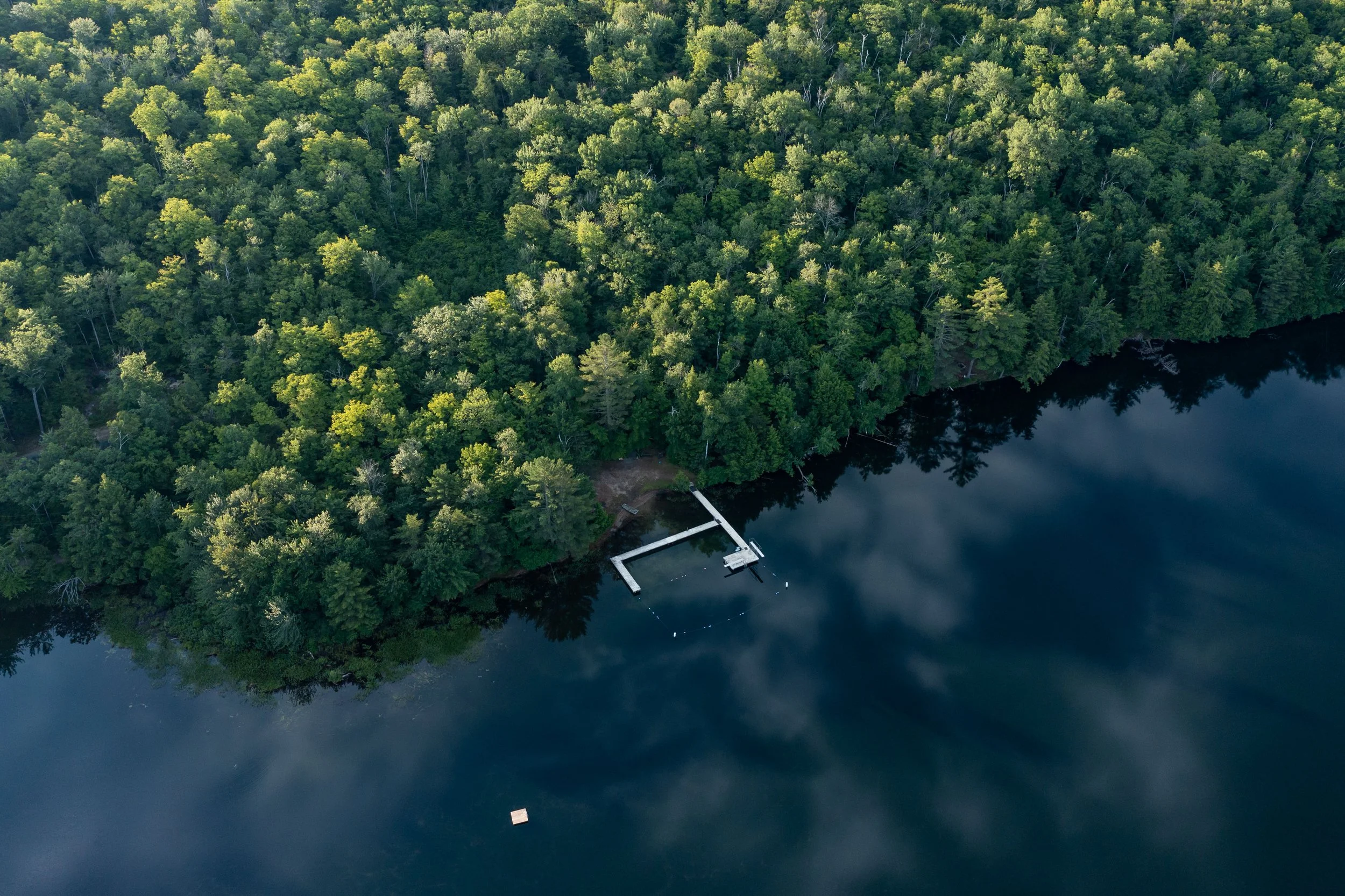 Aerial view of a dense forest bordering a dark lake with a small dock or pier extending into the water.