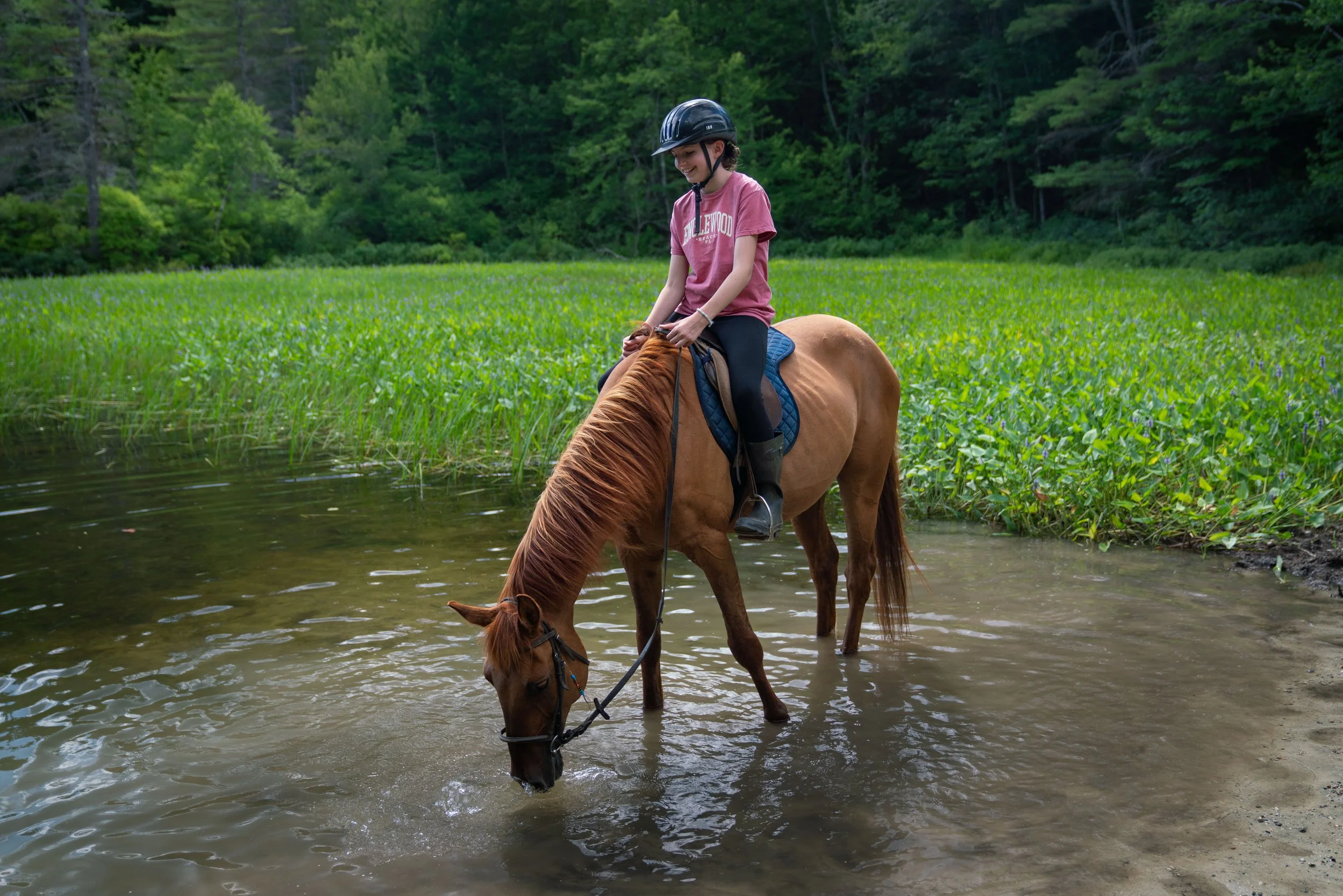 A person riding a horse in a shallow water body in a lush green area.