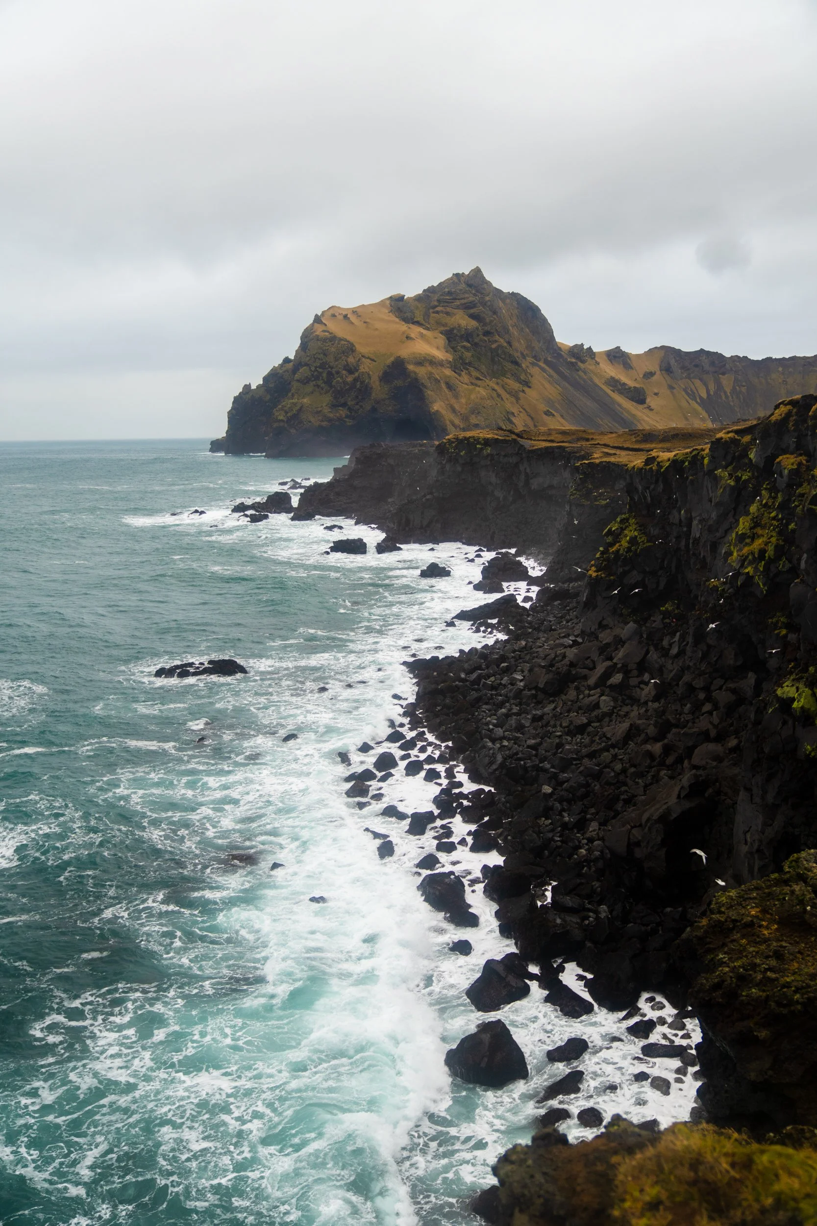 2121_BURKARD_013168.JPG