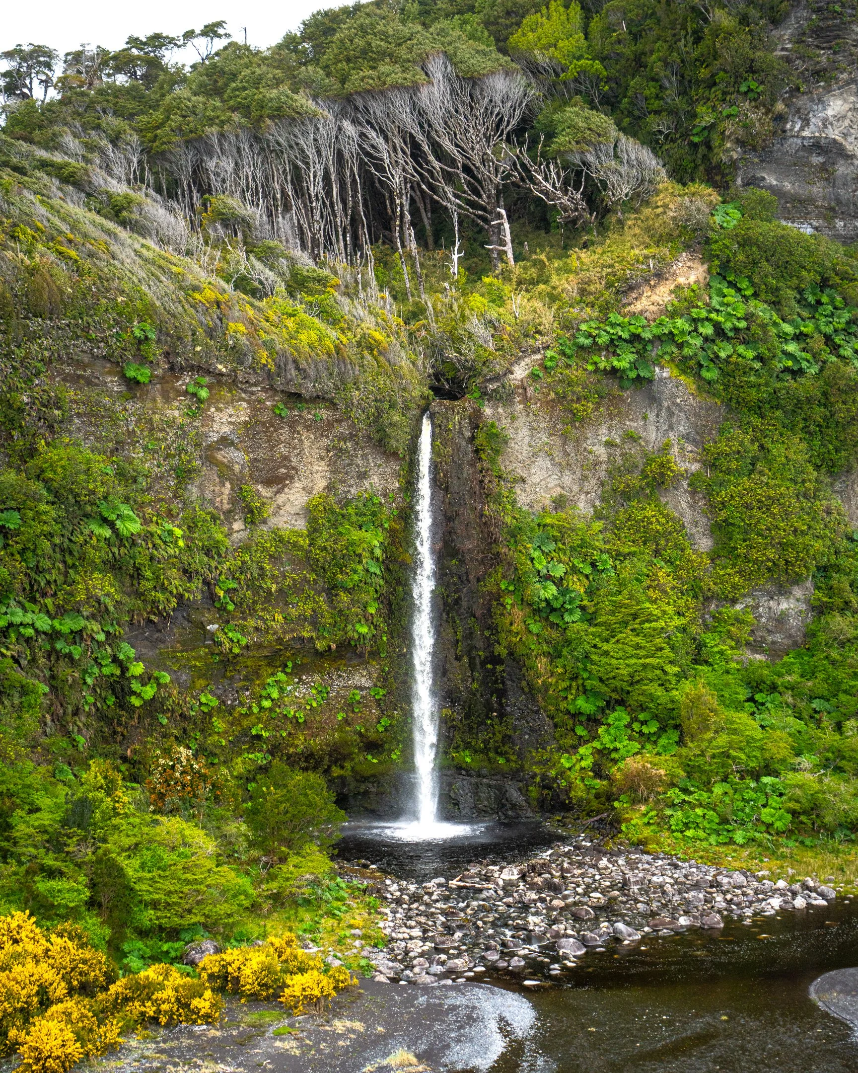 090424_RUDERMAN0133.JPG