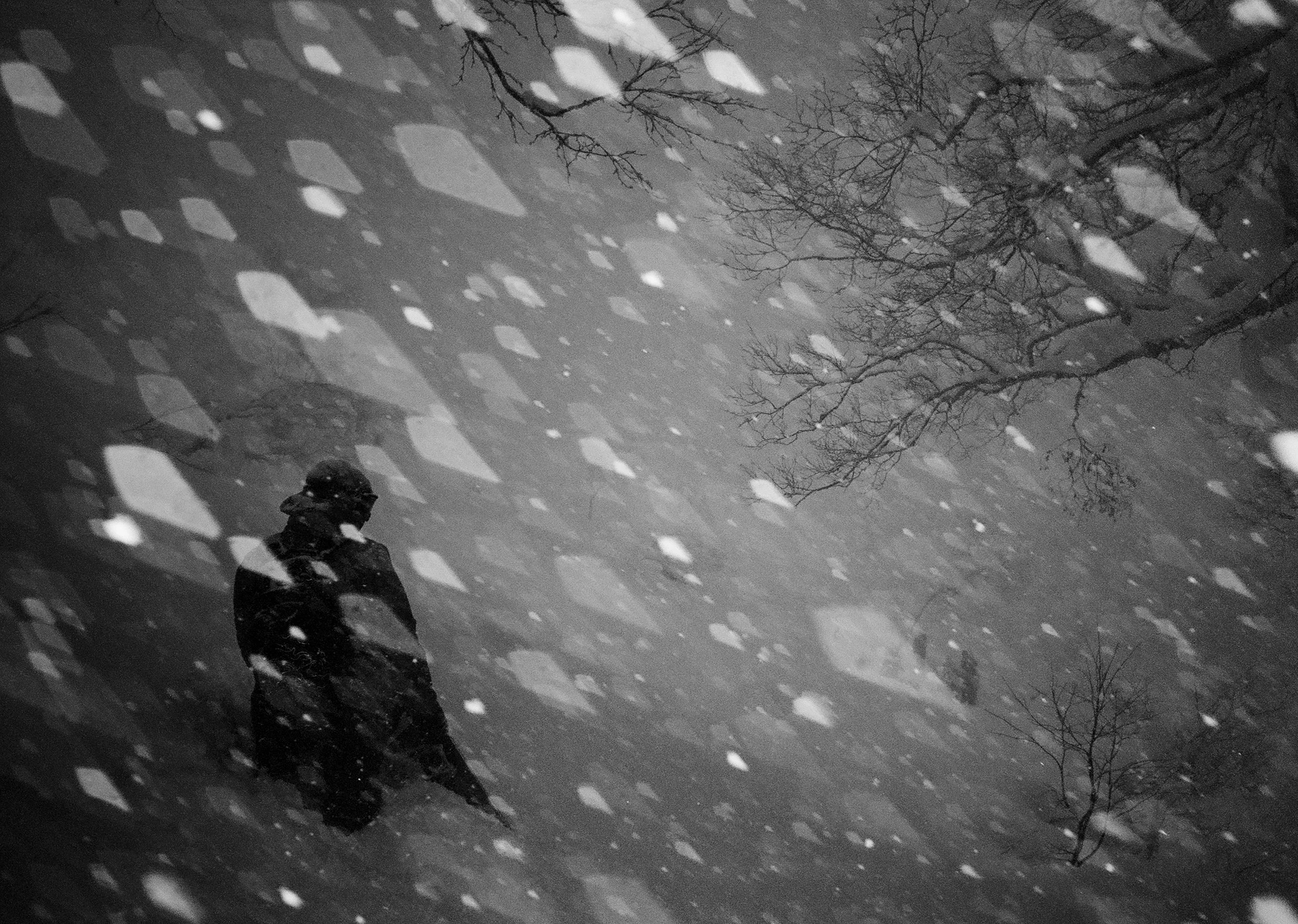 2012_RUDERMAN_000052-Edit-2 copyA.JPG