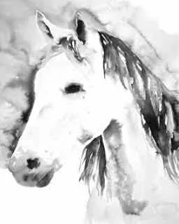 horsefinish.jpg