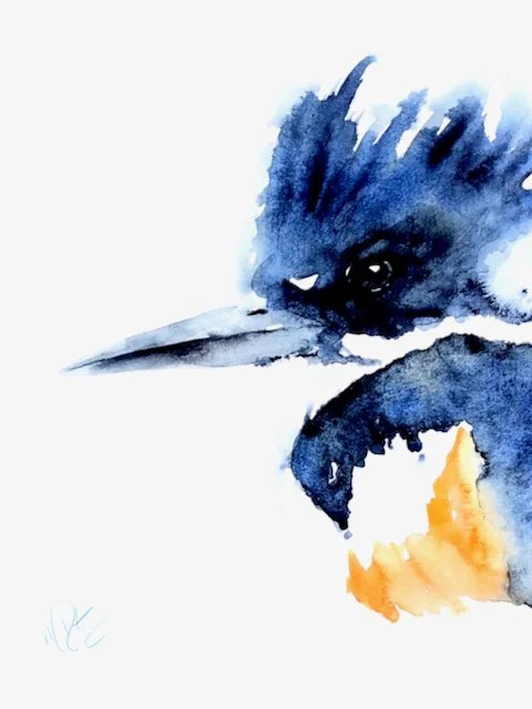 kingfisher2 (7).jpeg