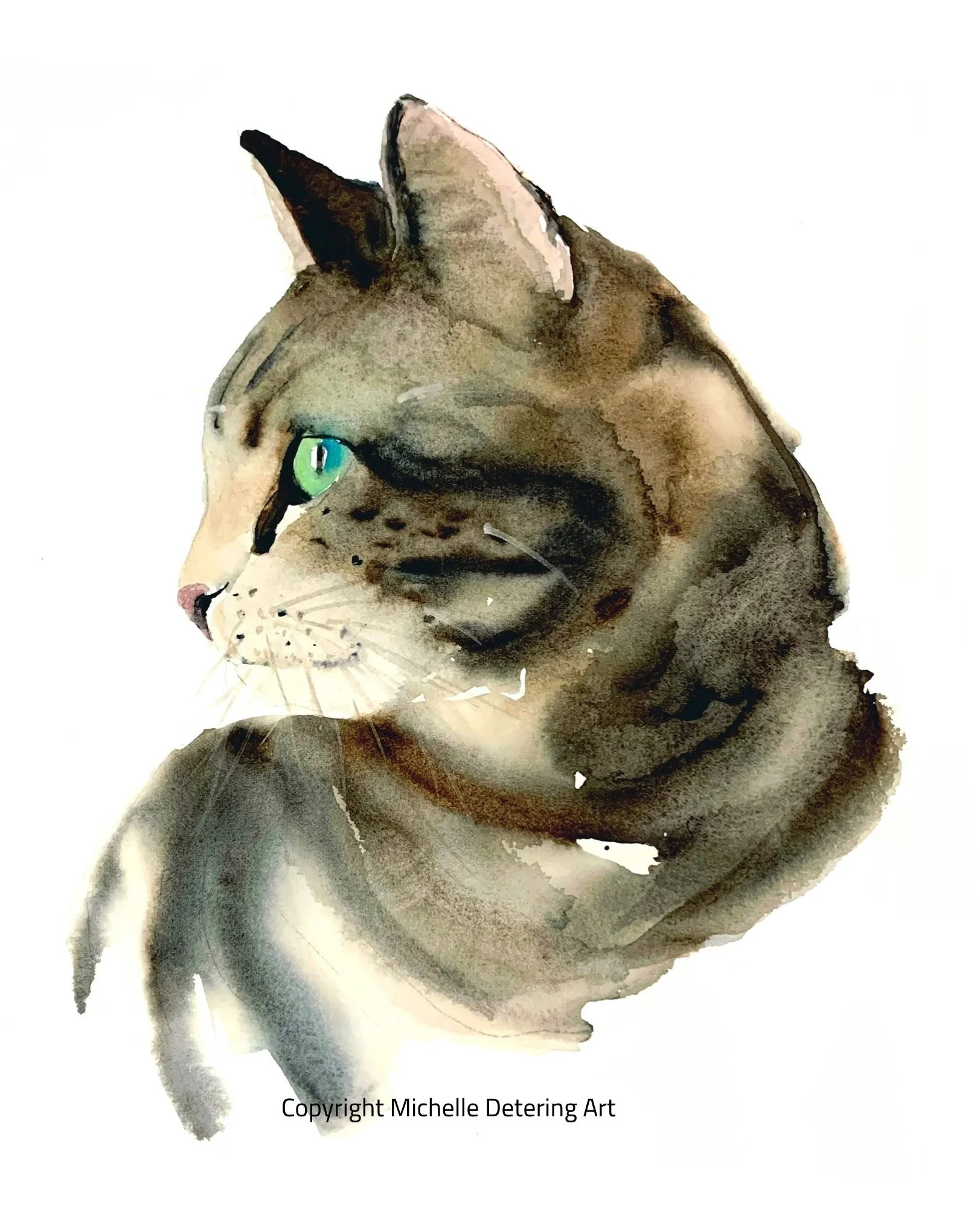 cat (3).jpg
