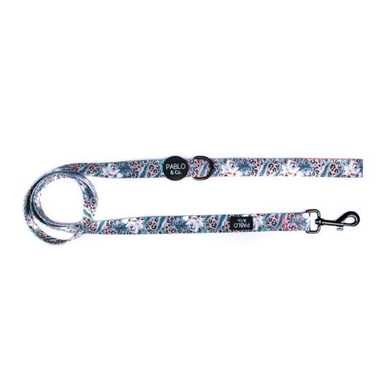 Palm beach Dog lesh.png