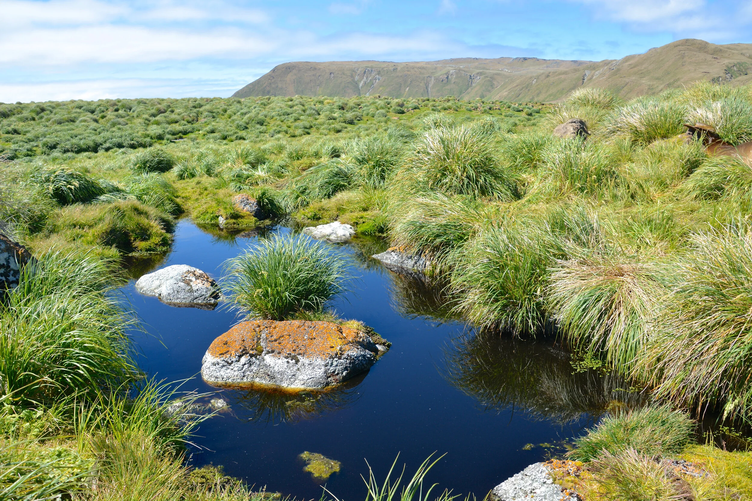 M086 - A beautiful sunny day on the west coast - January 2014