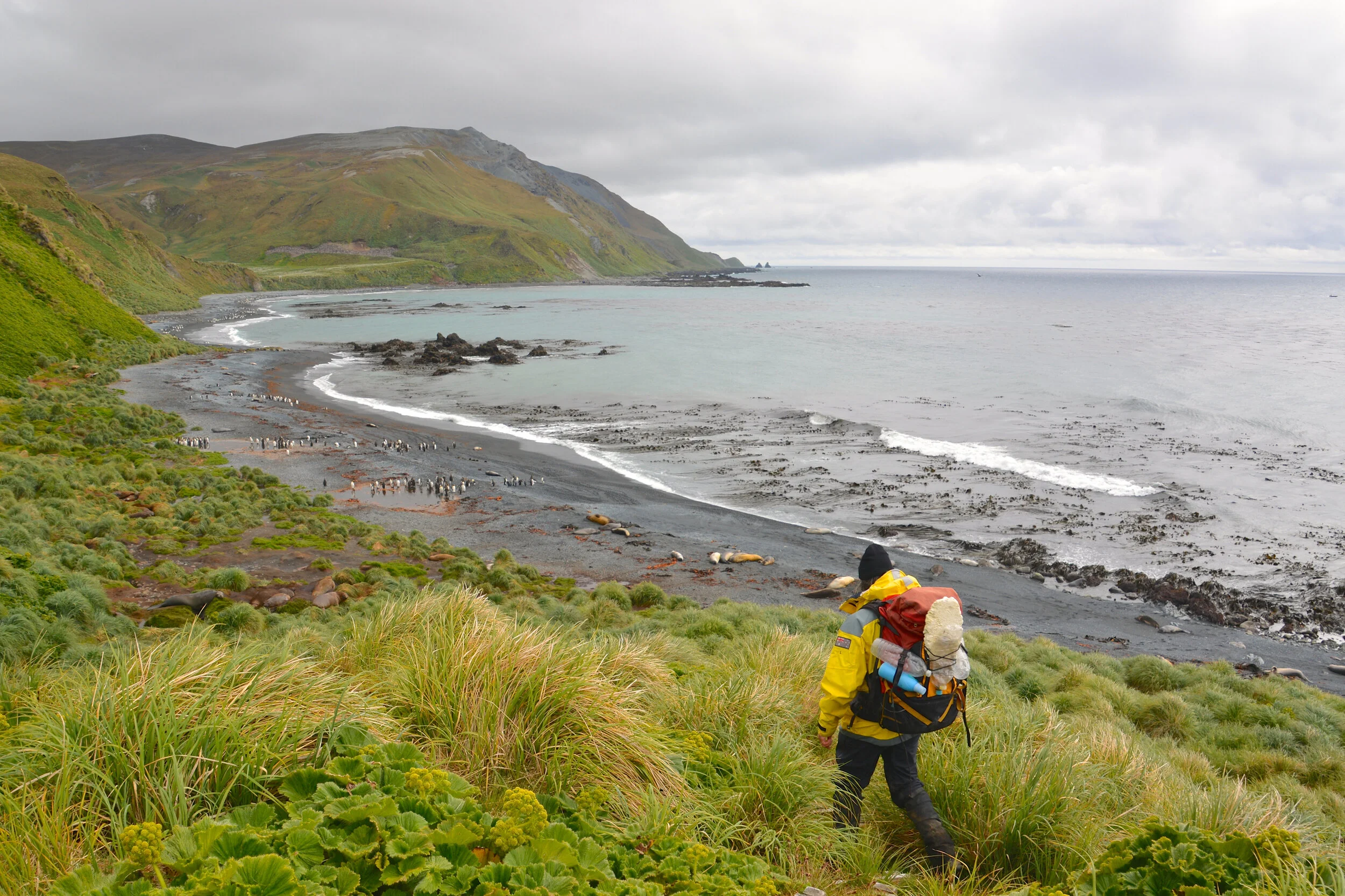 M090 - Dr Clive heading north towards Sandy Bay - January 2014