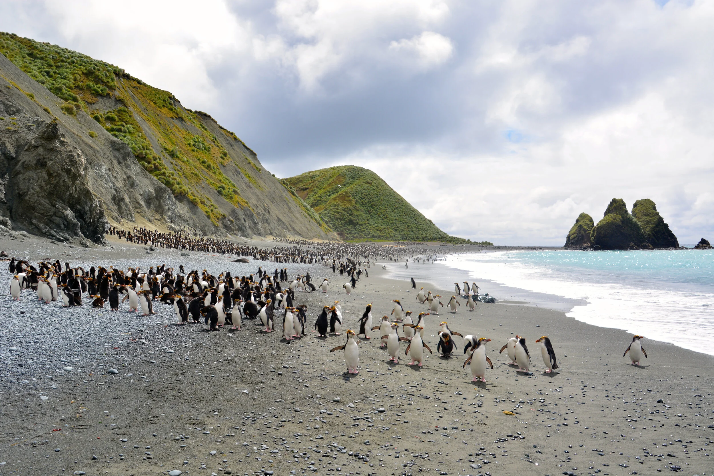 M094 - East coast beach looking towards Nuggets Point and the Nuggets - January 2014