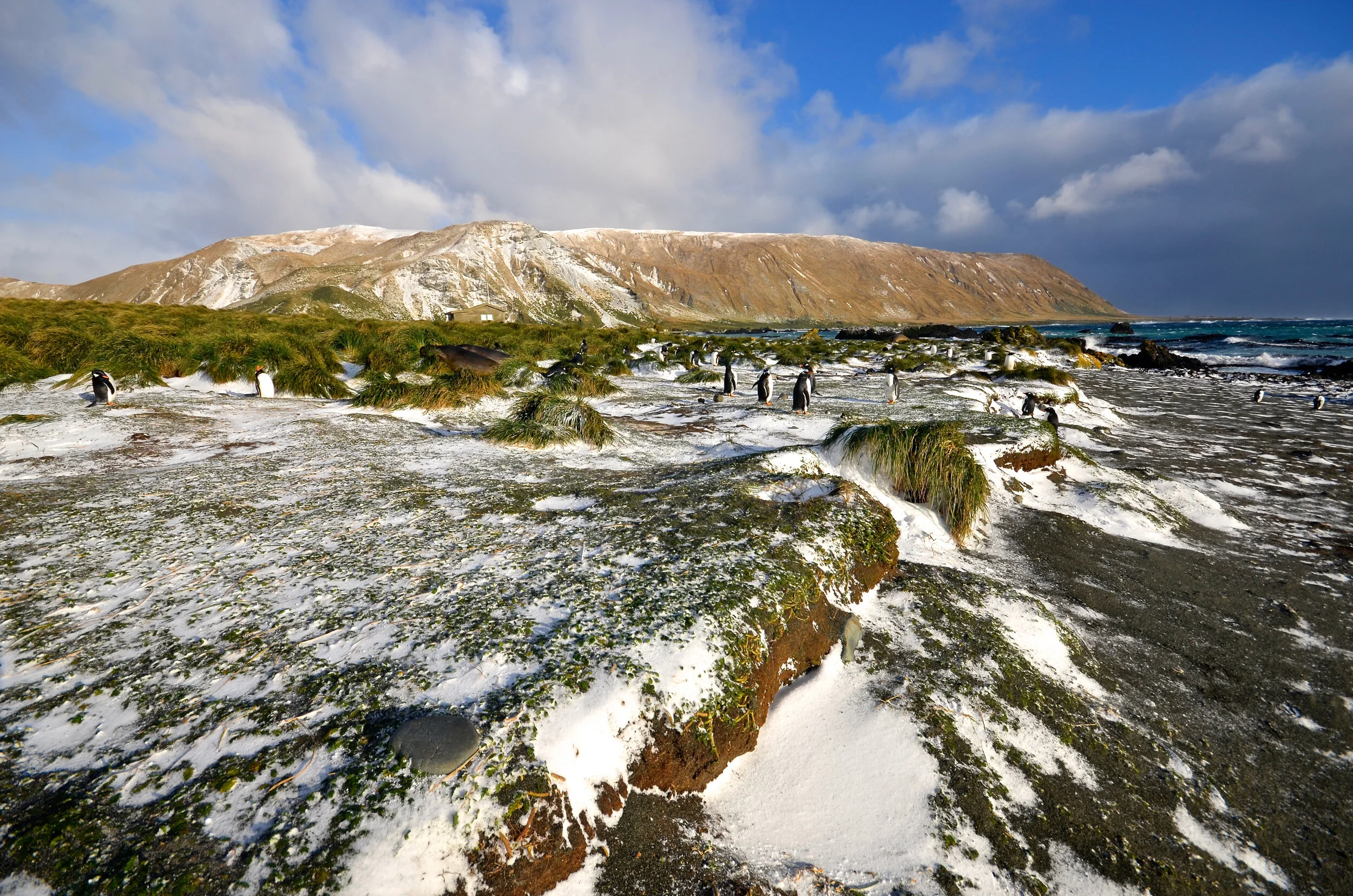 M227 - Just after a snow storm on the western side of the Isthmus - May 2013