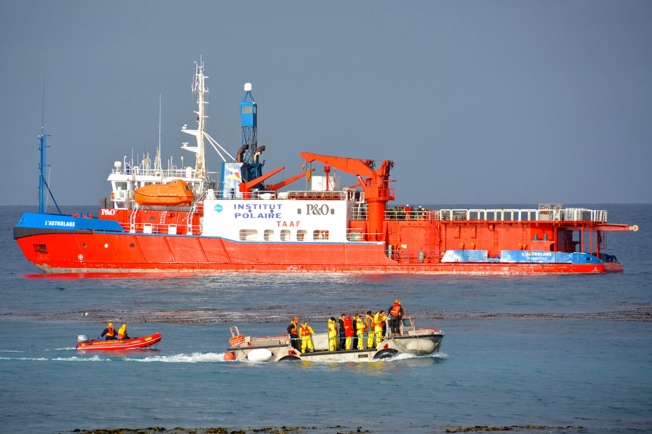 M139 - LARC (Lighter, Amphibious, Resupply, Cargo vehicle) transporting the incoming ANARE 67 crew from L'Astrolabe - March 2014