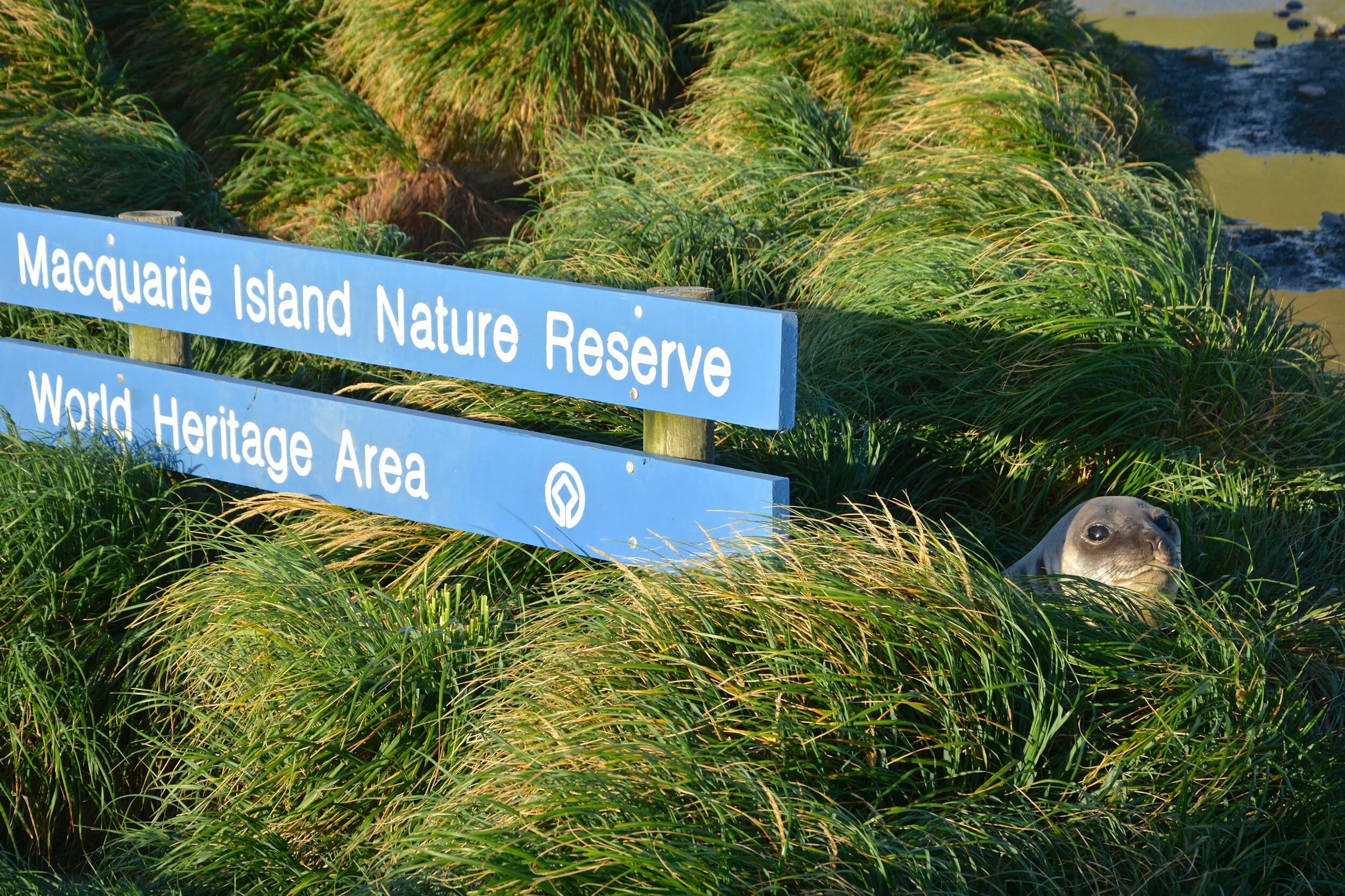 M153 - This is the sign you see if you came ashore or depart by boat or LARC - You may even have someone to greet you - April 2014